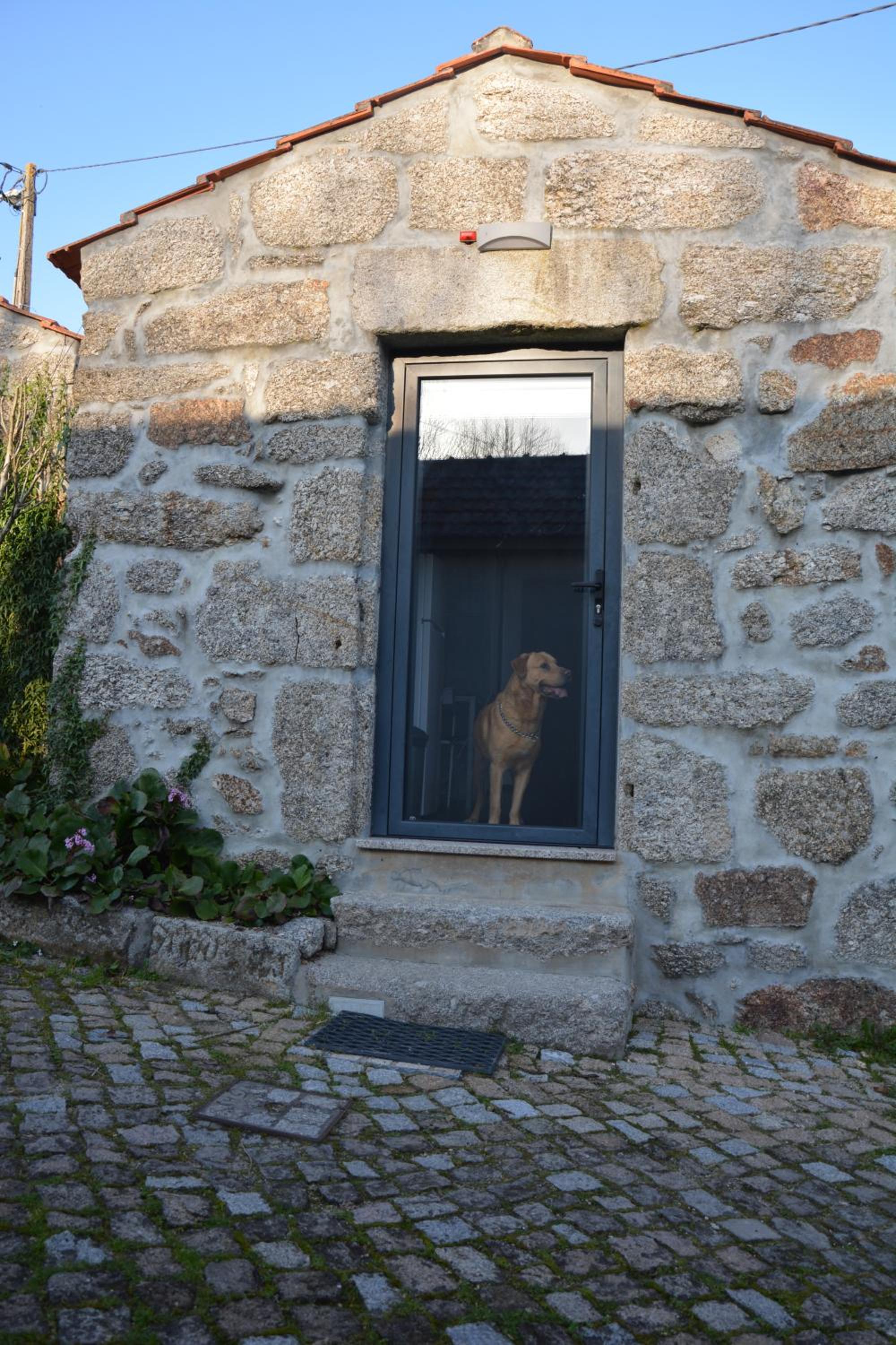 Photo 32