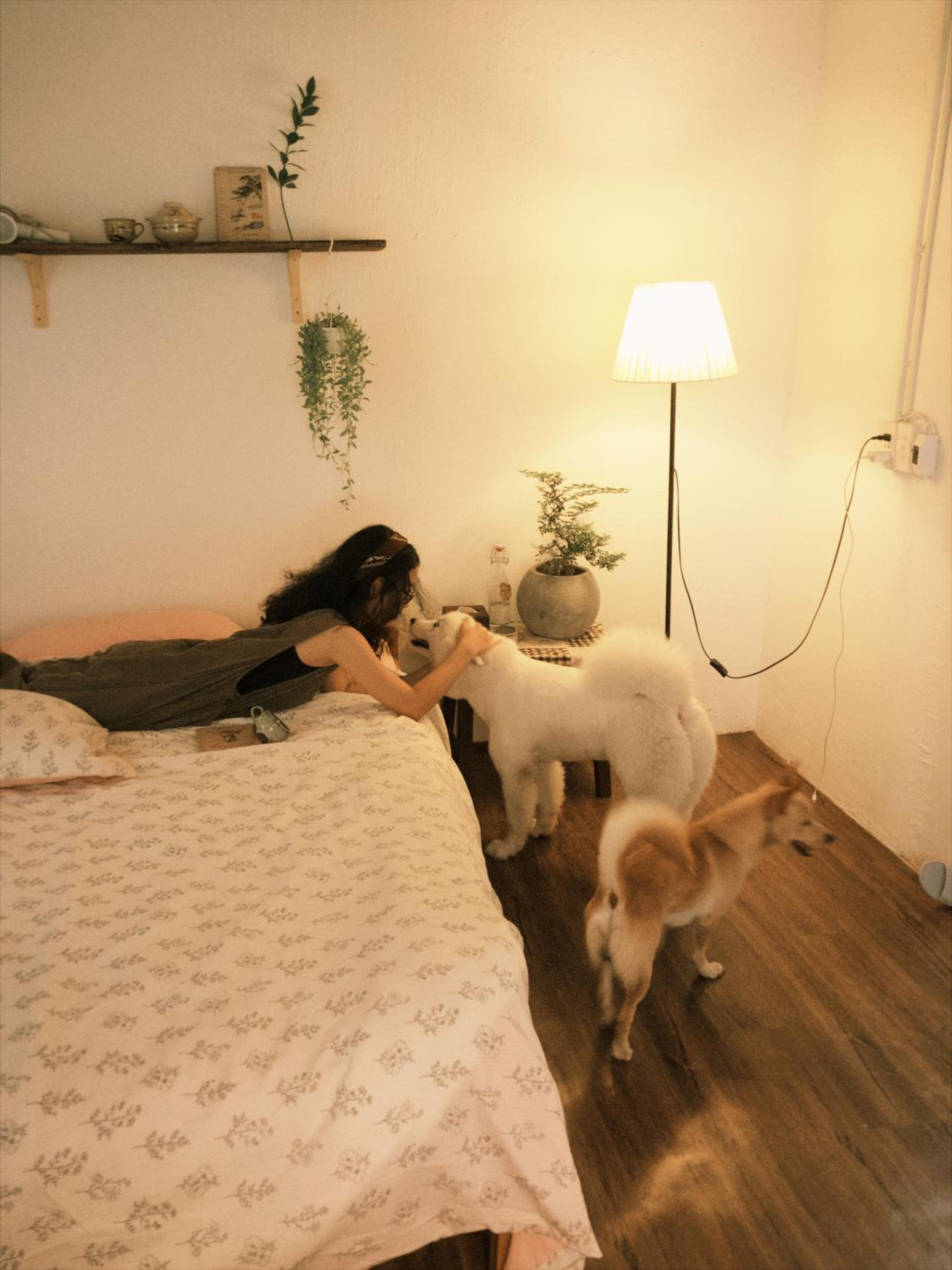 Photo 40