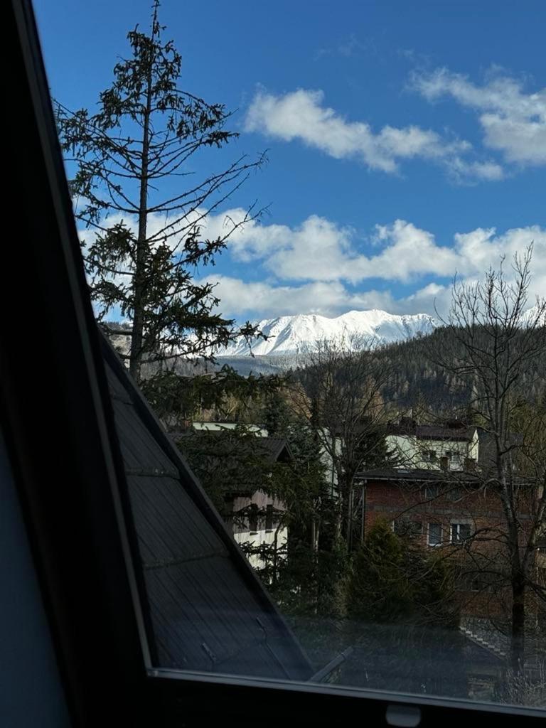 Apartament Platinum view 3