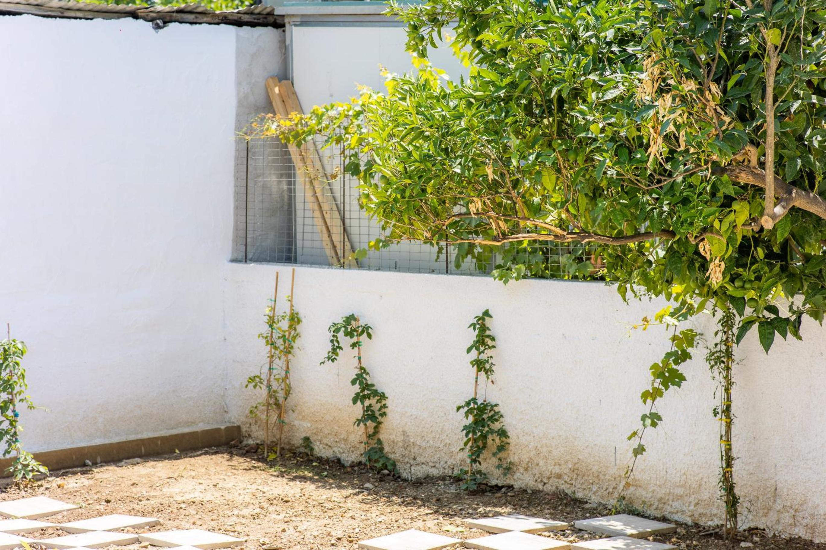 Paisios Holiday Home