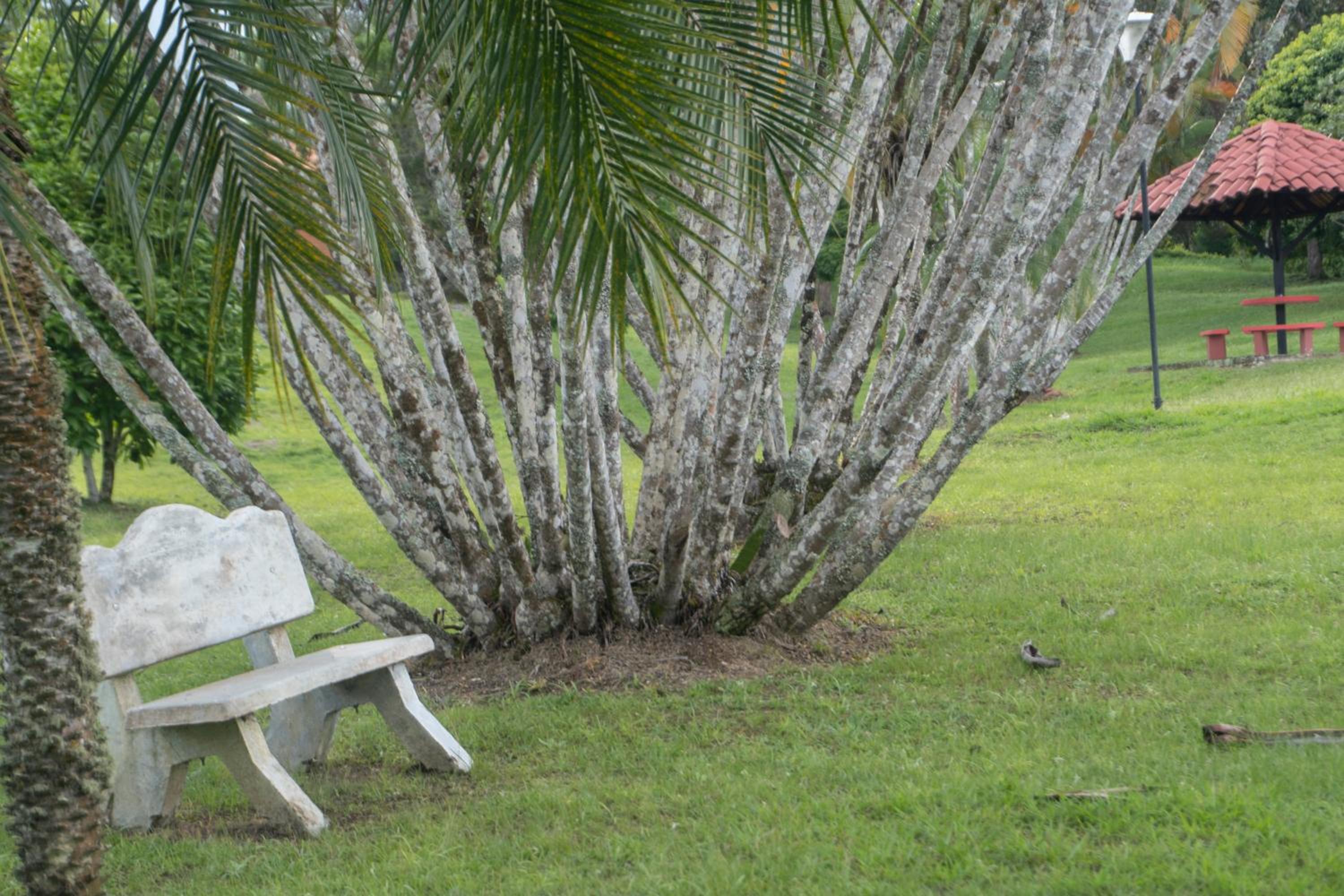 Casa Fincas Calima