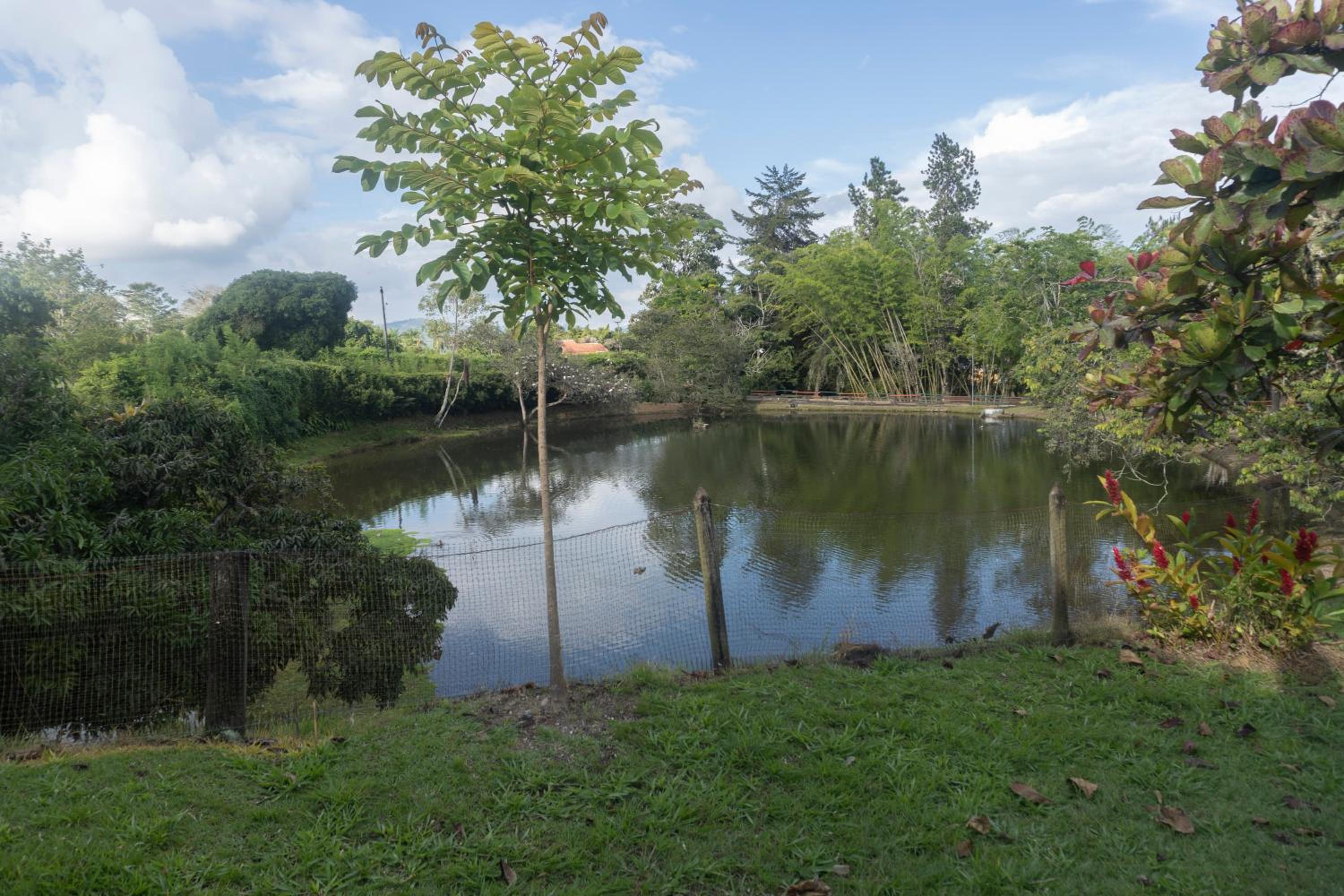 Casa Fincas Calima