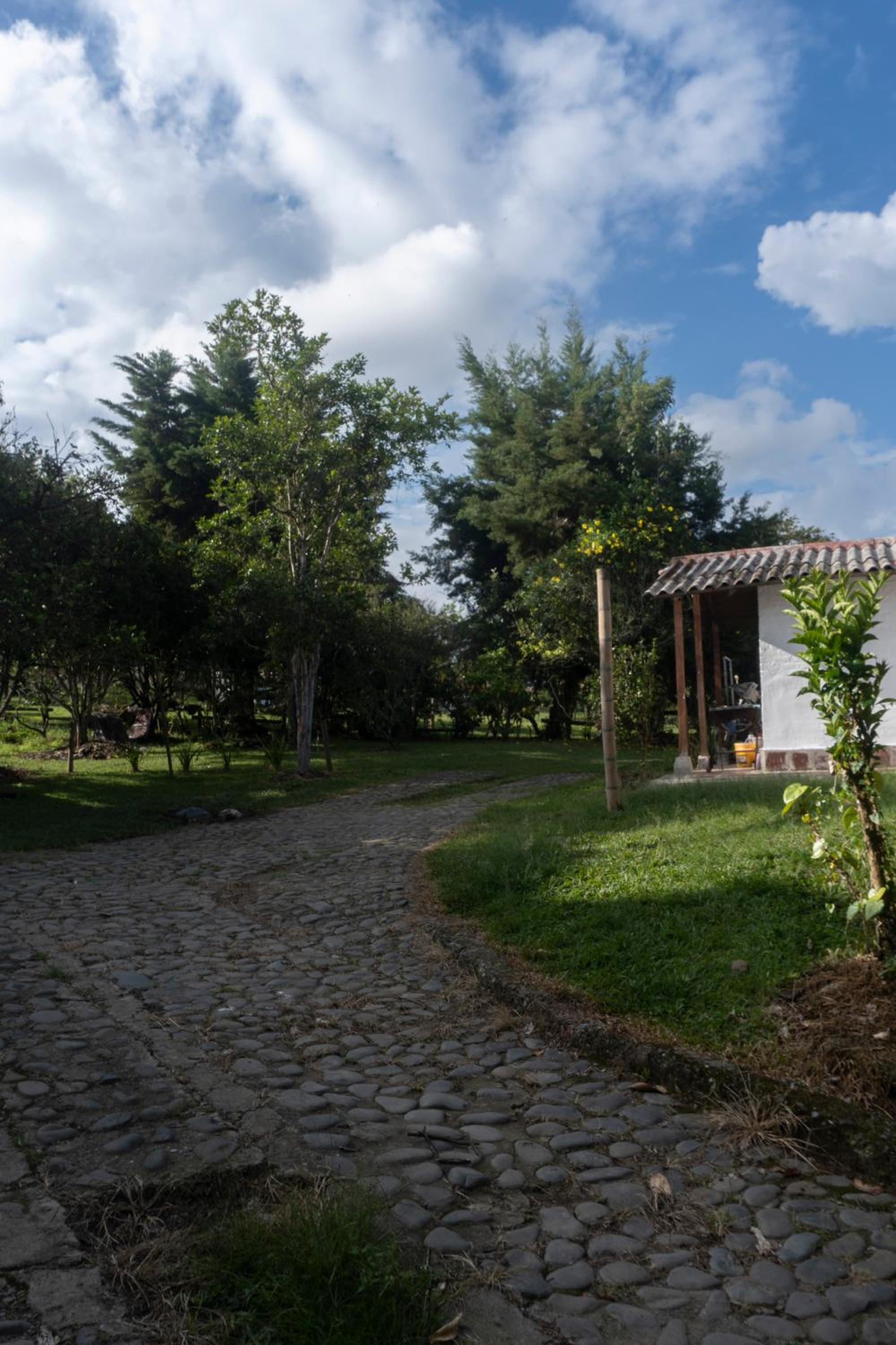Casa Fincas Calima