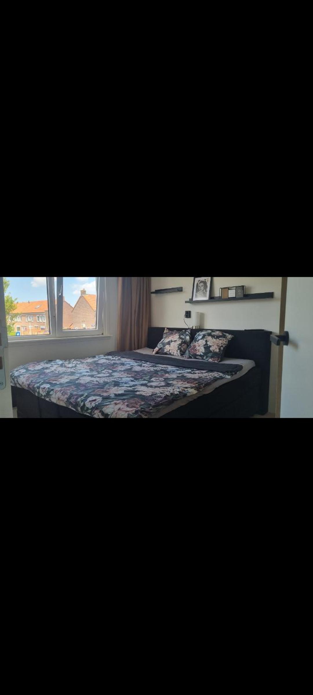 Garden, Jacuzzi, bbq, city centre, 2 bedrooms view 4