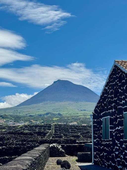 Pico Island Villas 22 - Ocean Front & UNESCO Heritage Century-Old Grapevines
