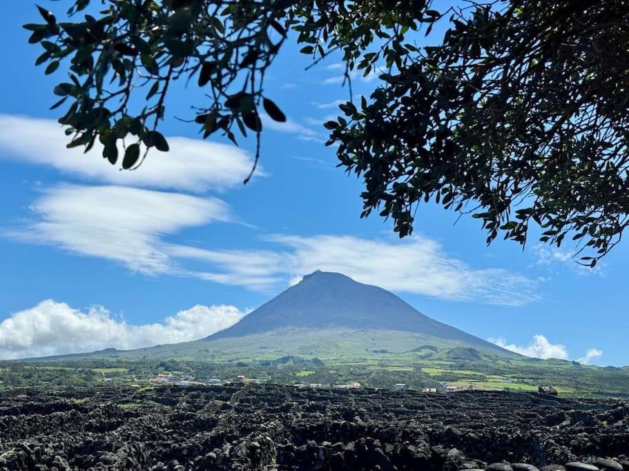 Pico Island Villas 22 - Ocean Front & UNESCO Heritage Century-Old Grapevines