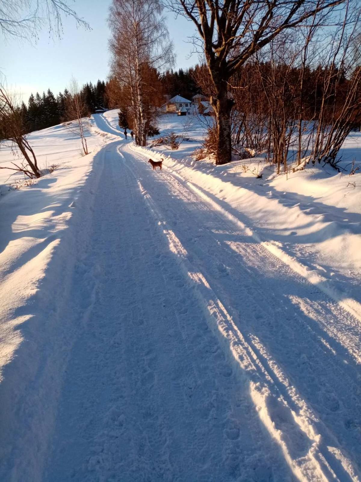 Photo 13