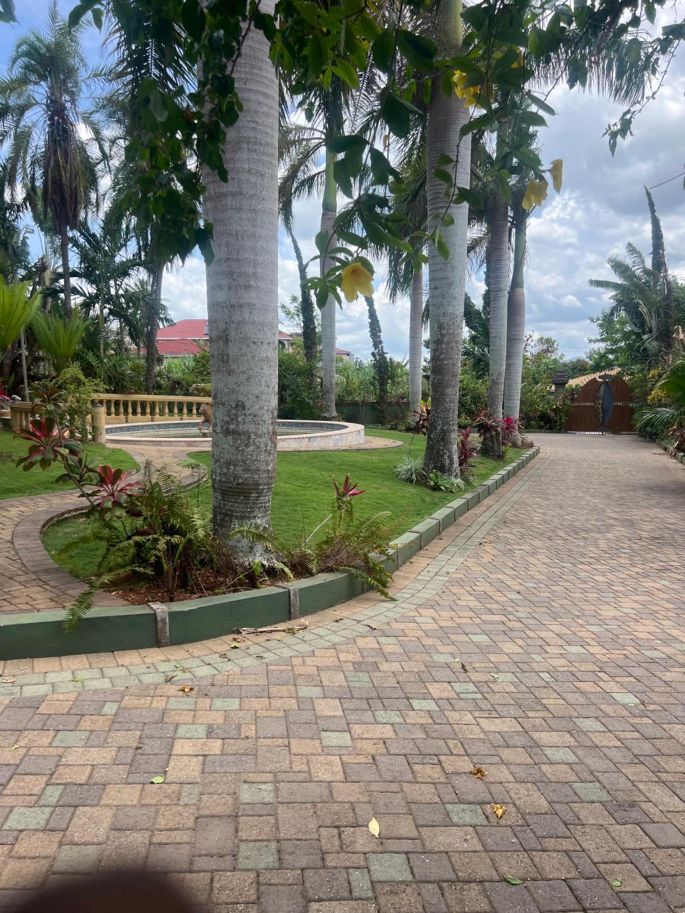 Photo 25
