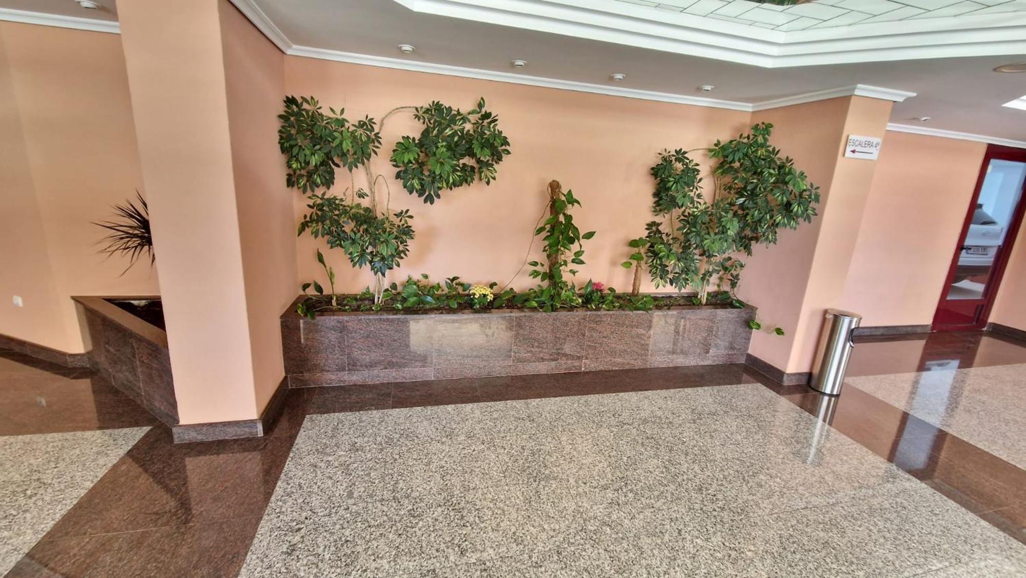 Flaming Topacio photo 3