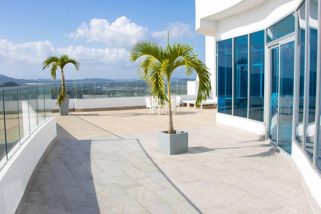 Exclusive Beachfront Apartment