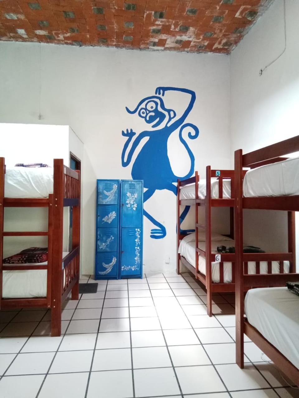 Photo 41