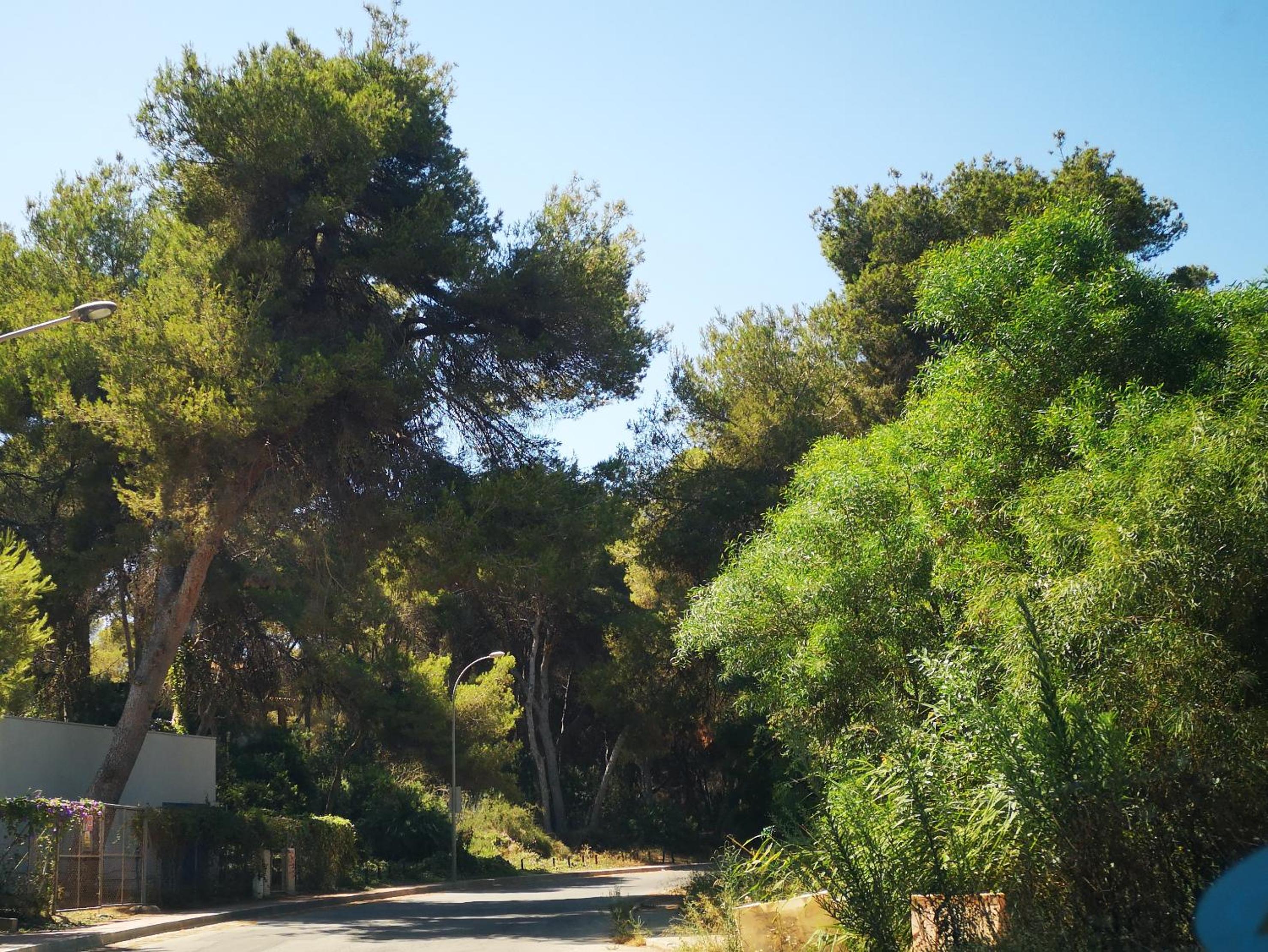 Villa Pinery with a private swimming pool