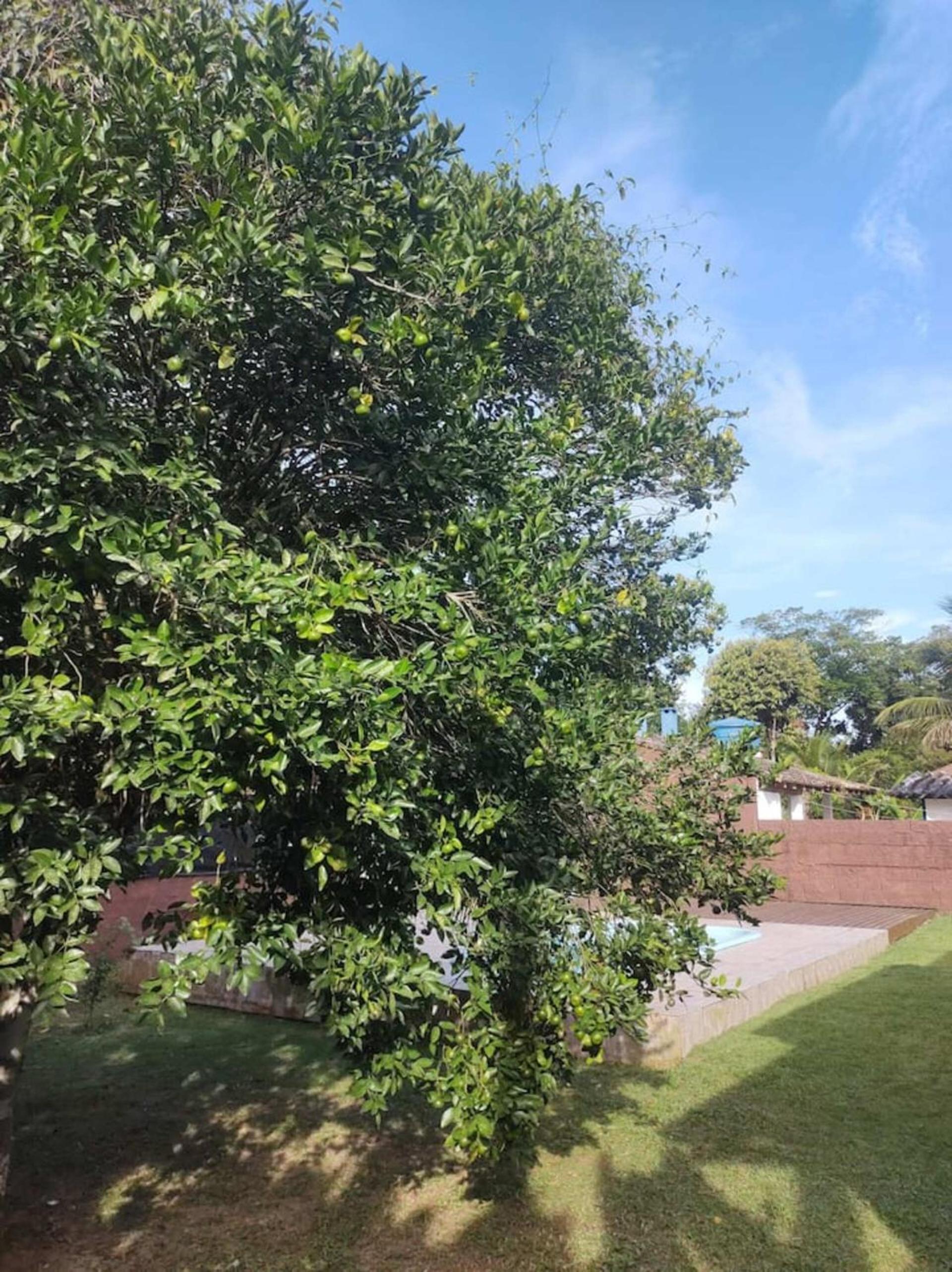 Oportunidade! Casa com piscina, 300m da praia!!