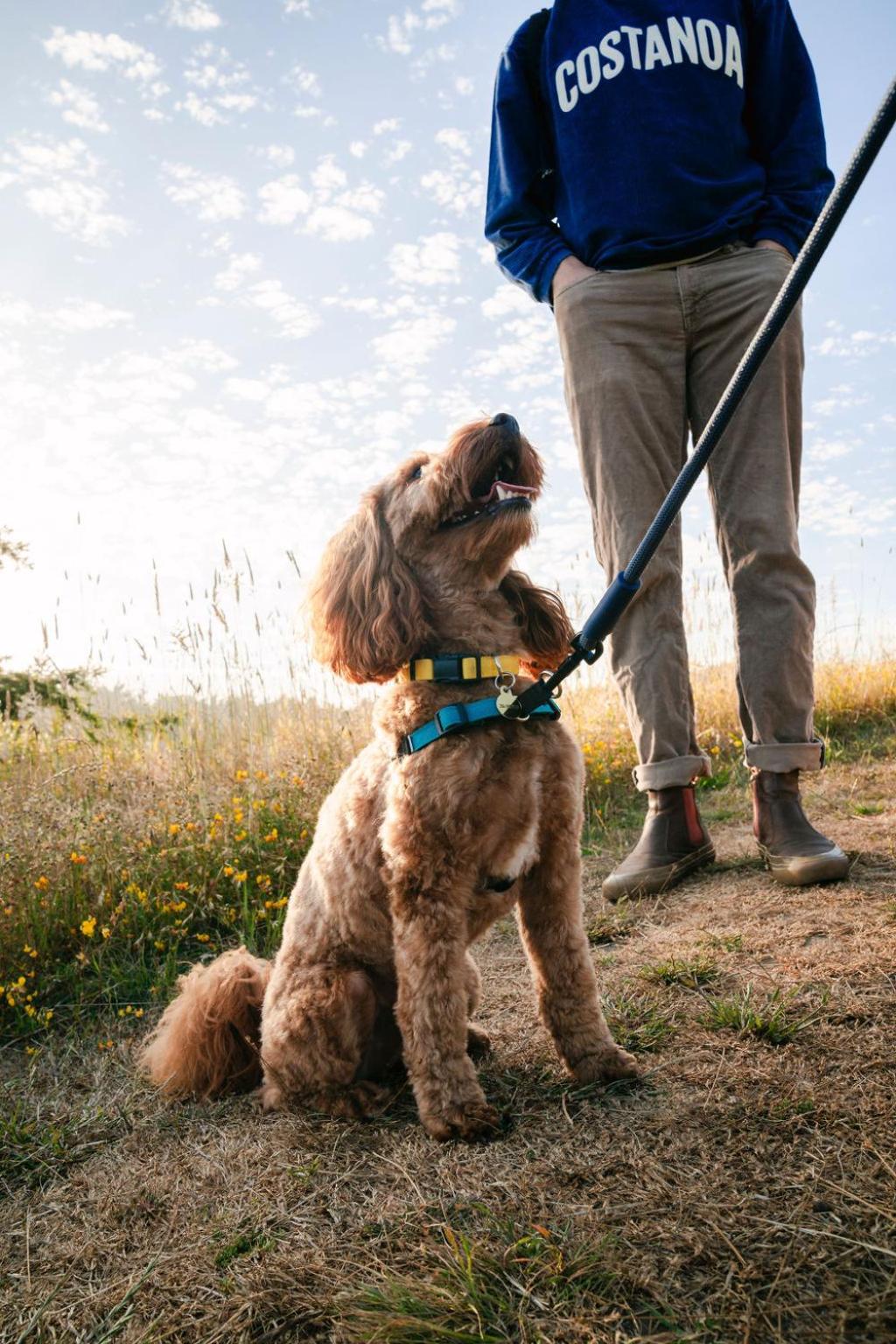 Photo 87