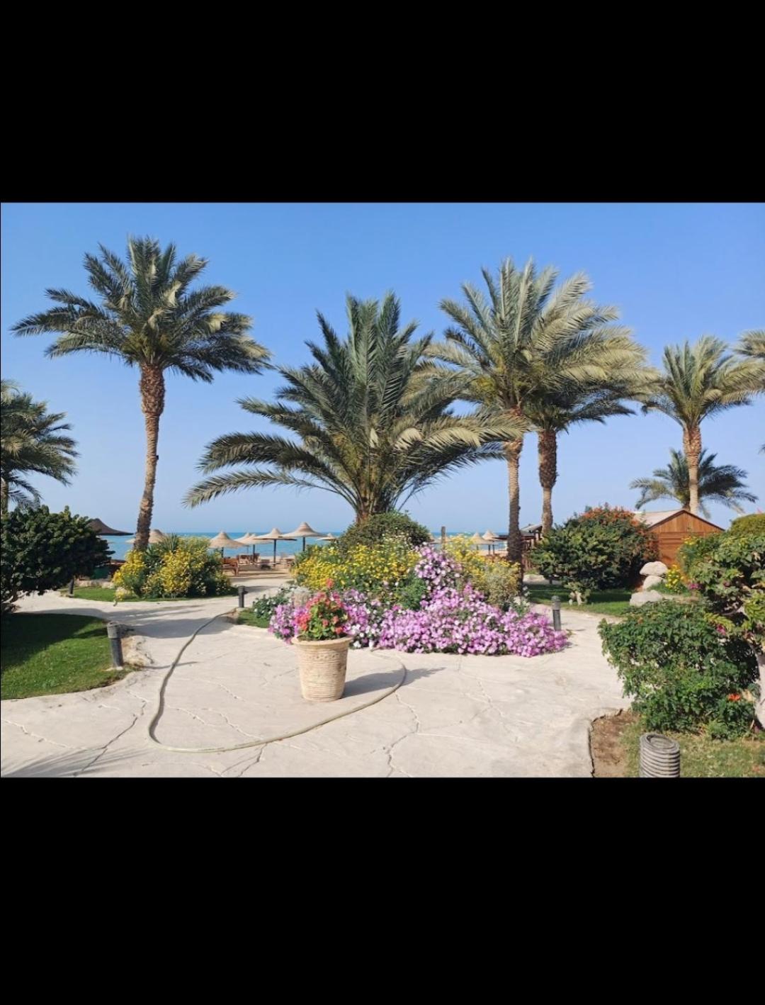 Palma resort hurghada chalet A155 view 3