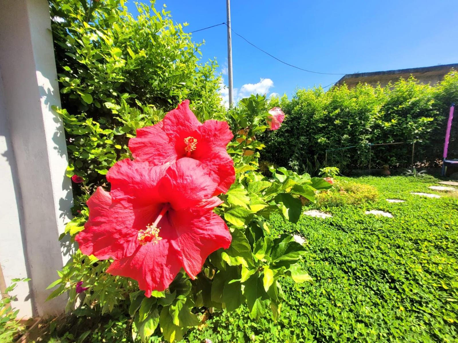 Jardin Inmaculada
