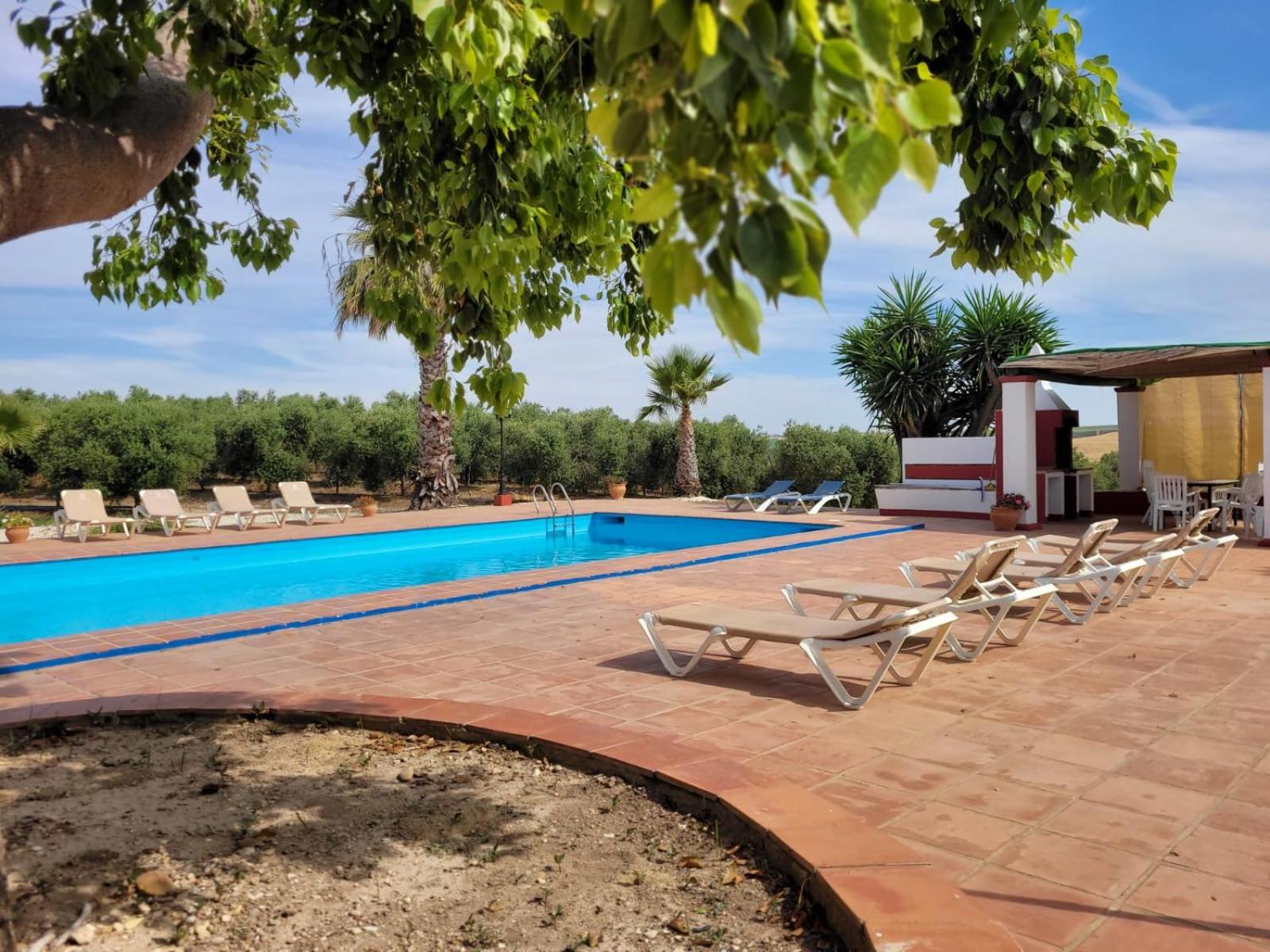 Finca Castellares