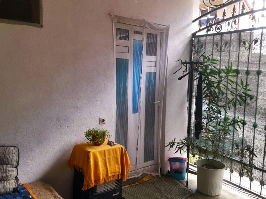 Private Guest Room with Garden Access view 2