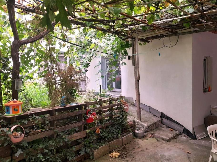 Private Guest Room with Garden Access view 4