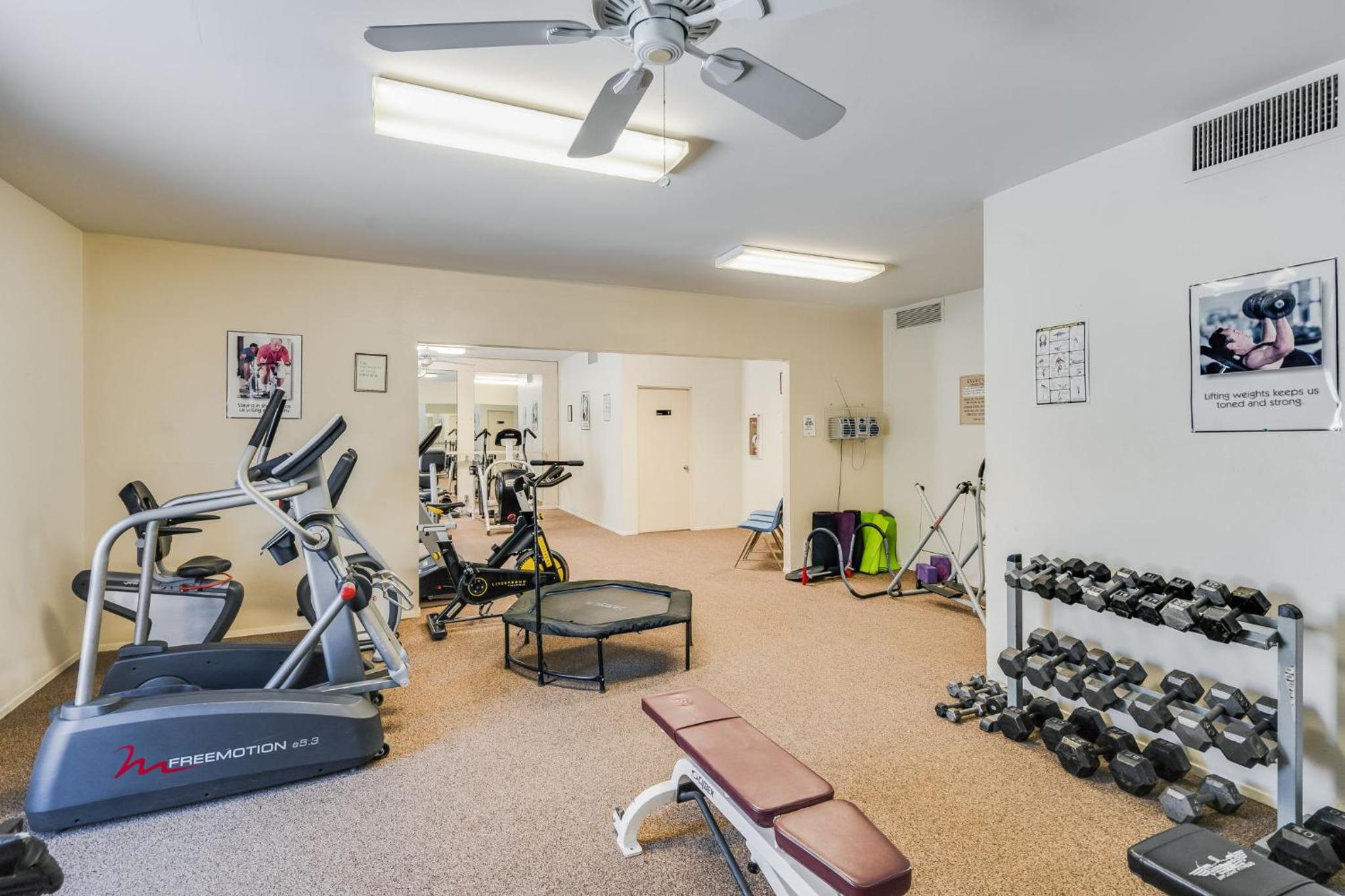 activities & amenities