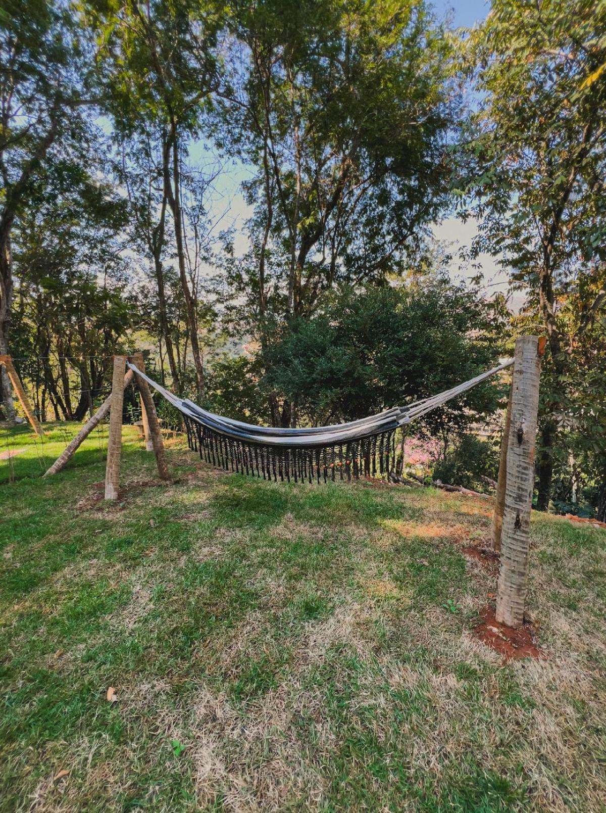 CABANAS na ROCHA IPÊ AMARELO