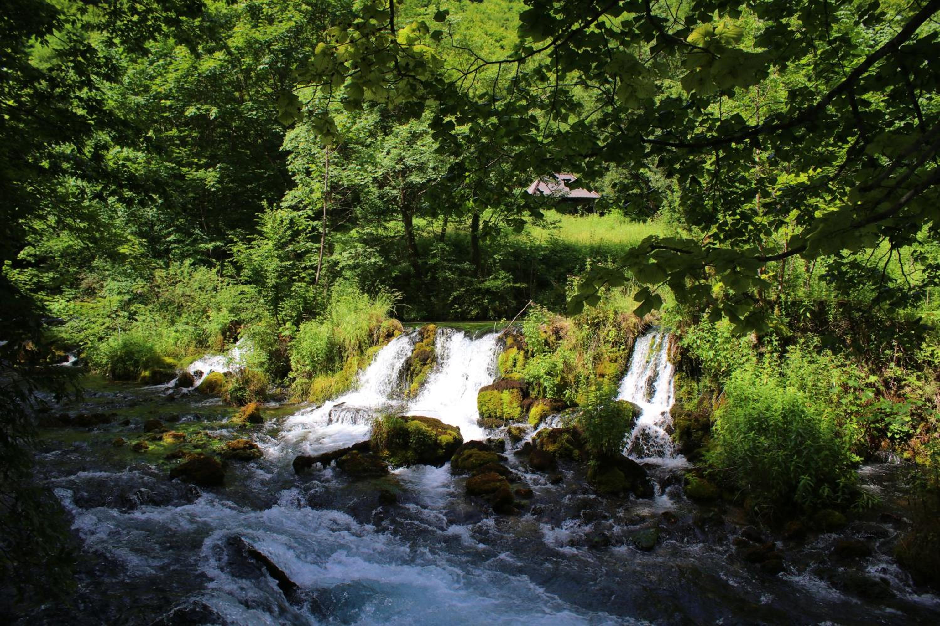Domacinstvo na kraju svijeta