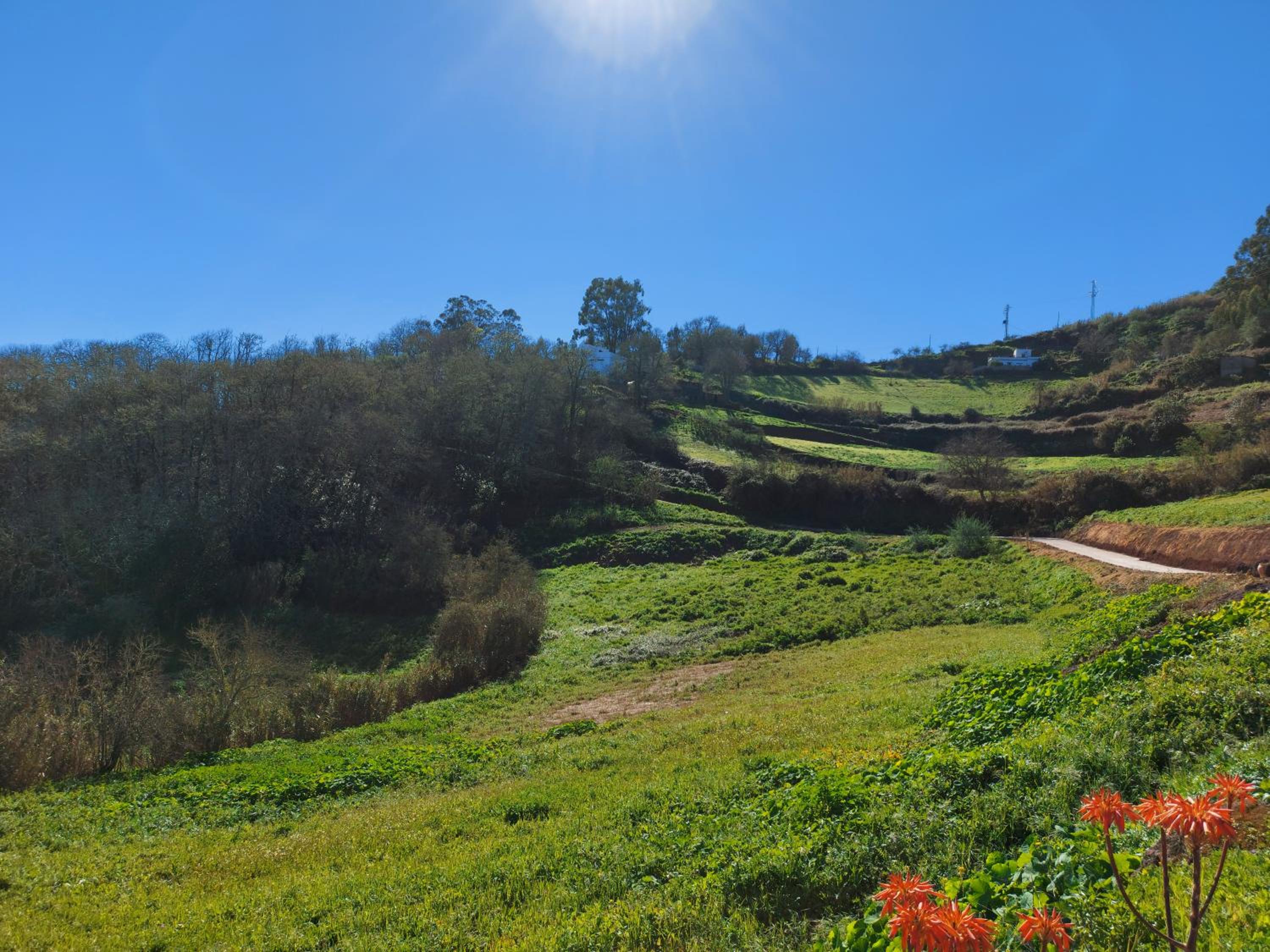 Finca Naturacanaria view 3