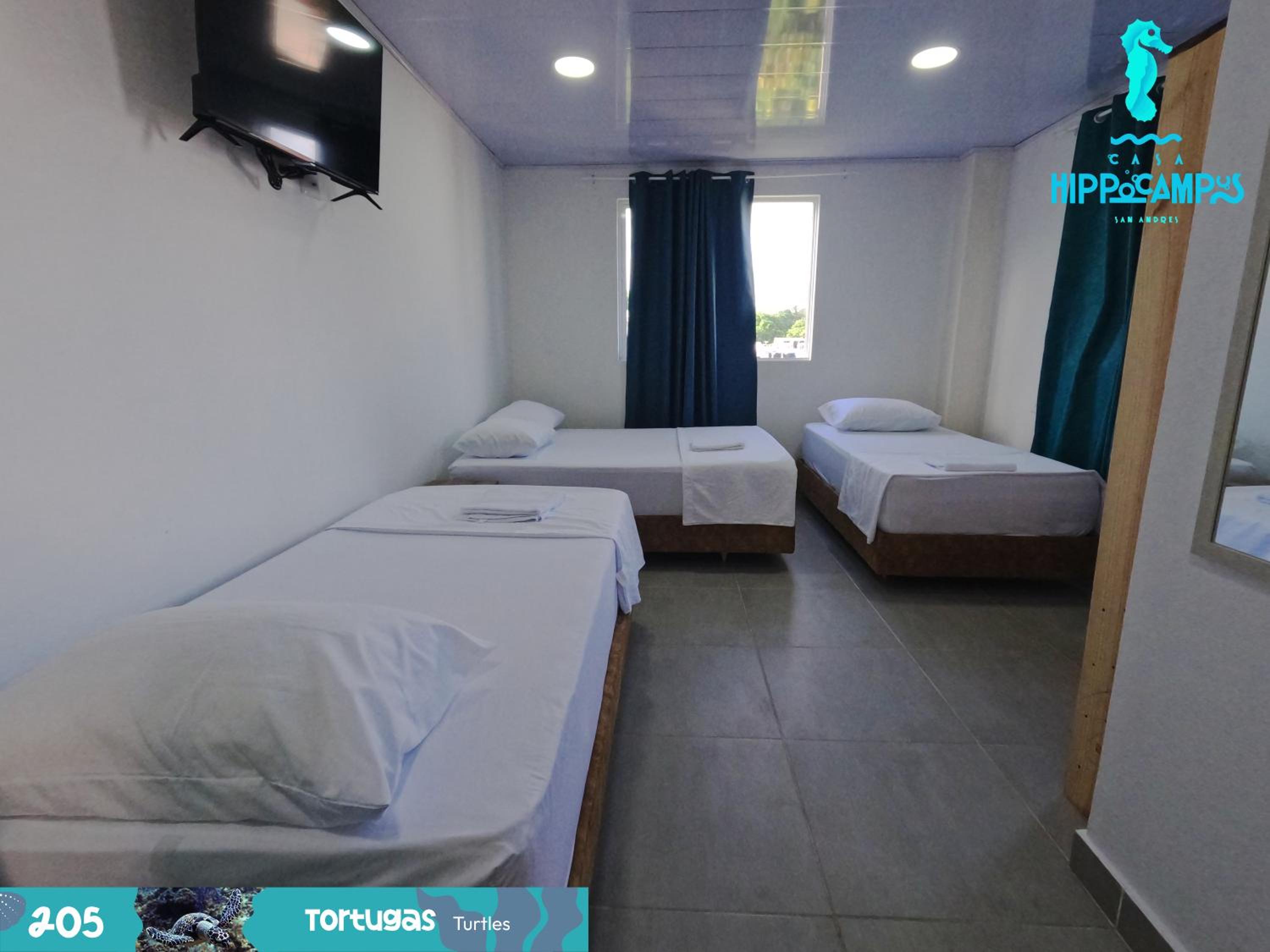 Sukha Hippocampus San Andrés Isla
