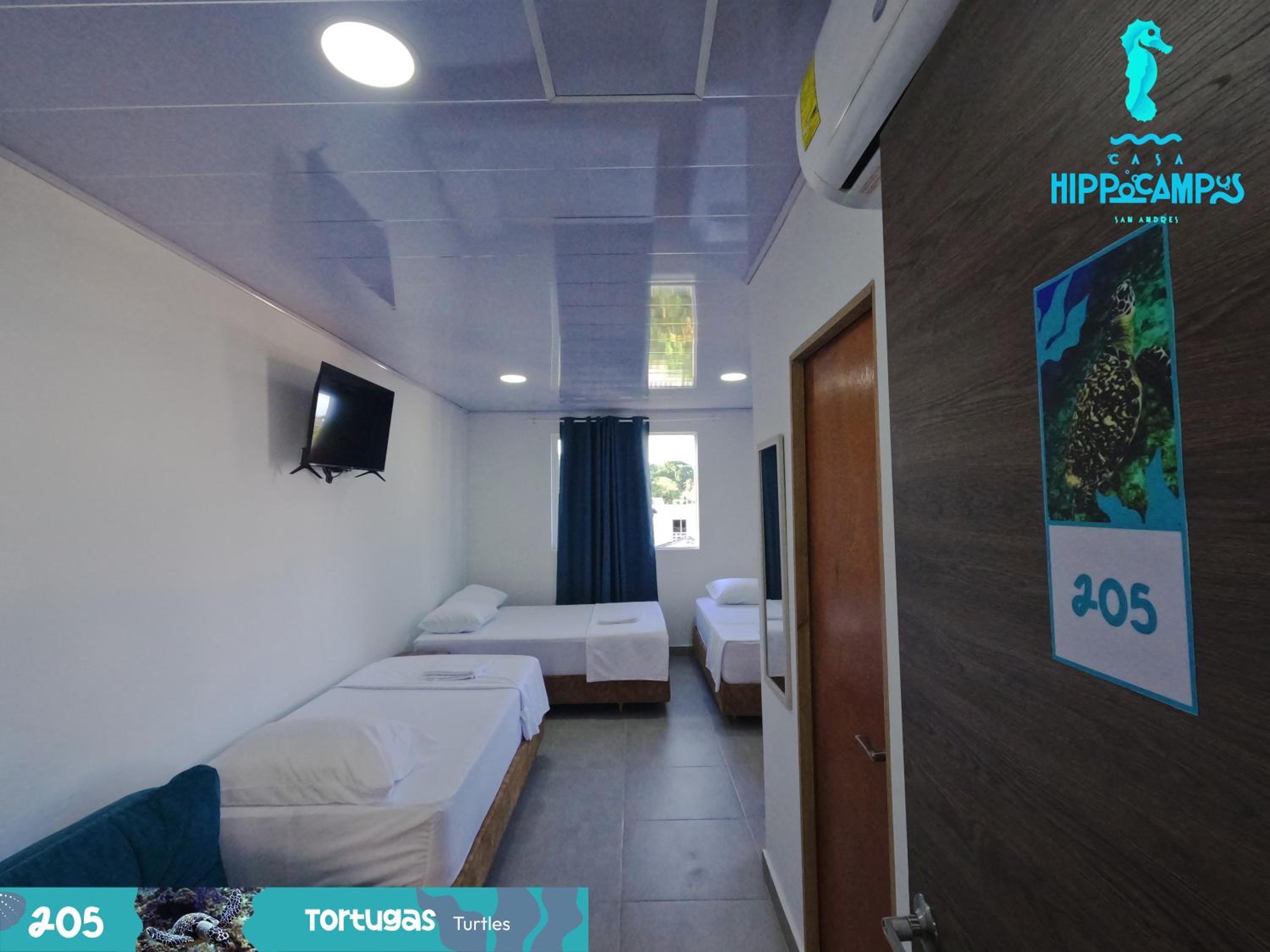 Sukha Hippocampus San Andrés Isla