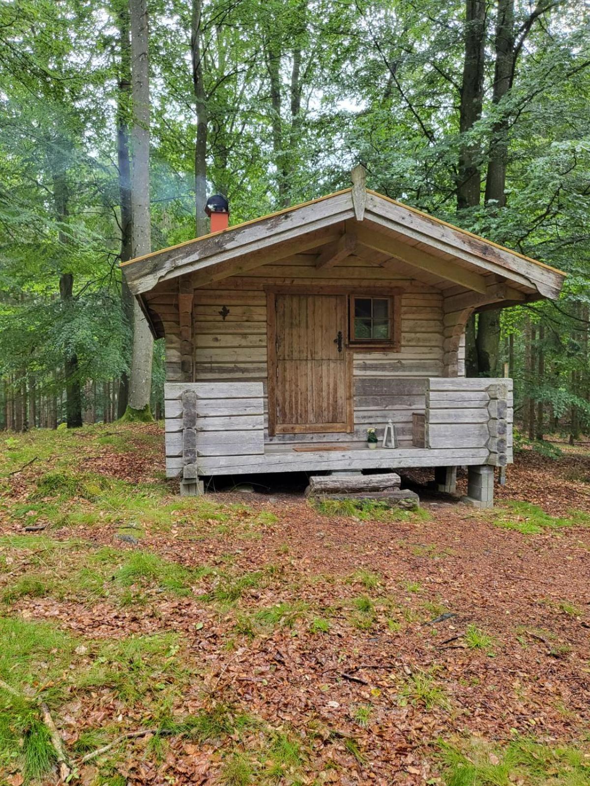 Photo 30