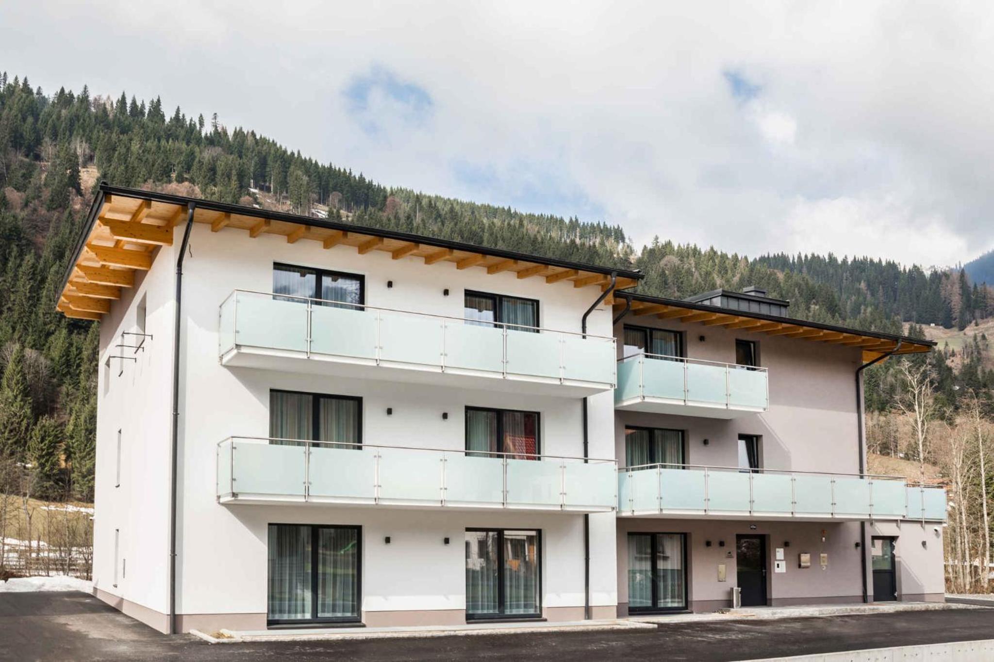 Apartments in Kleinarl - Salzburger Land 42910