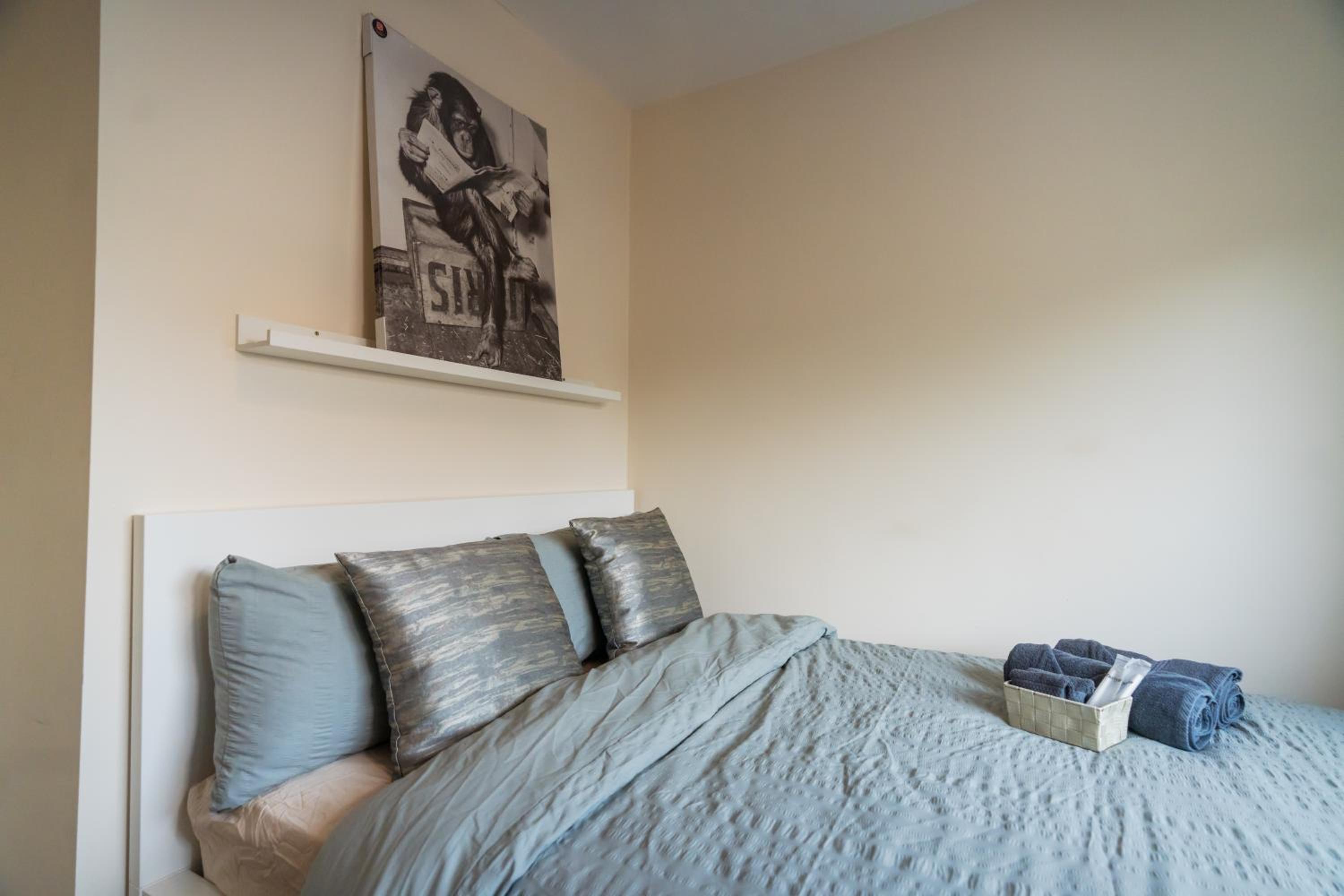 Dublin Suburban Haven