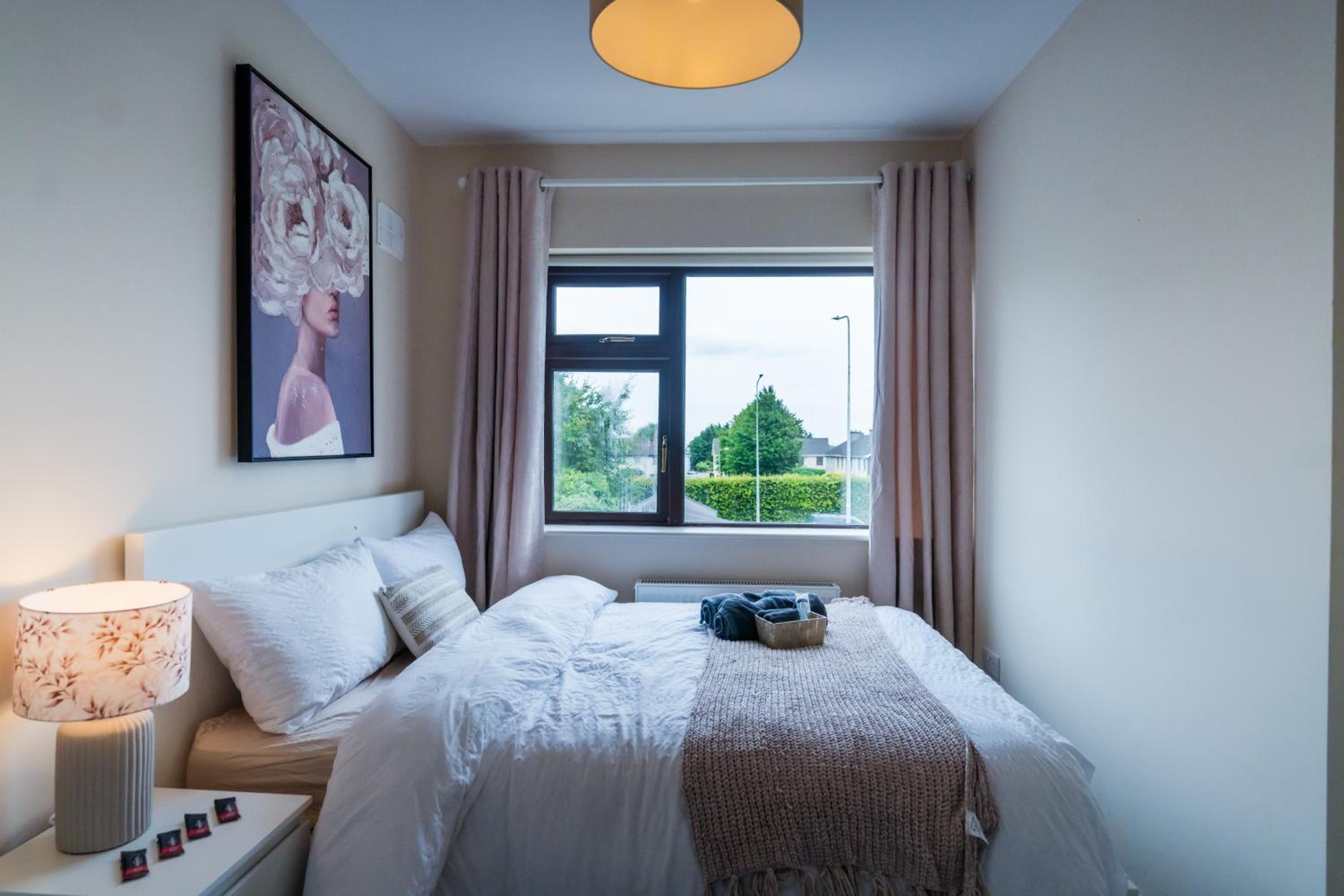 Dublin Suburban Haven