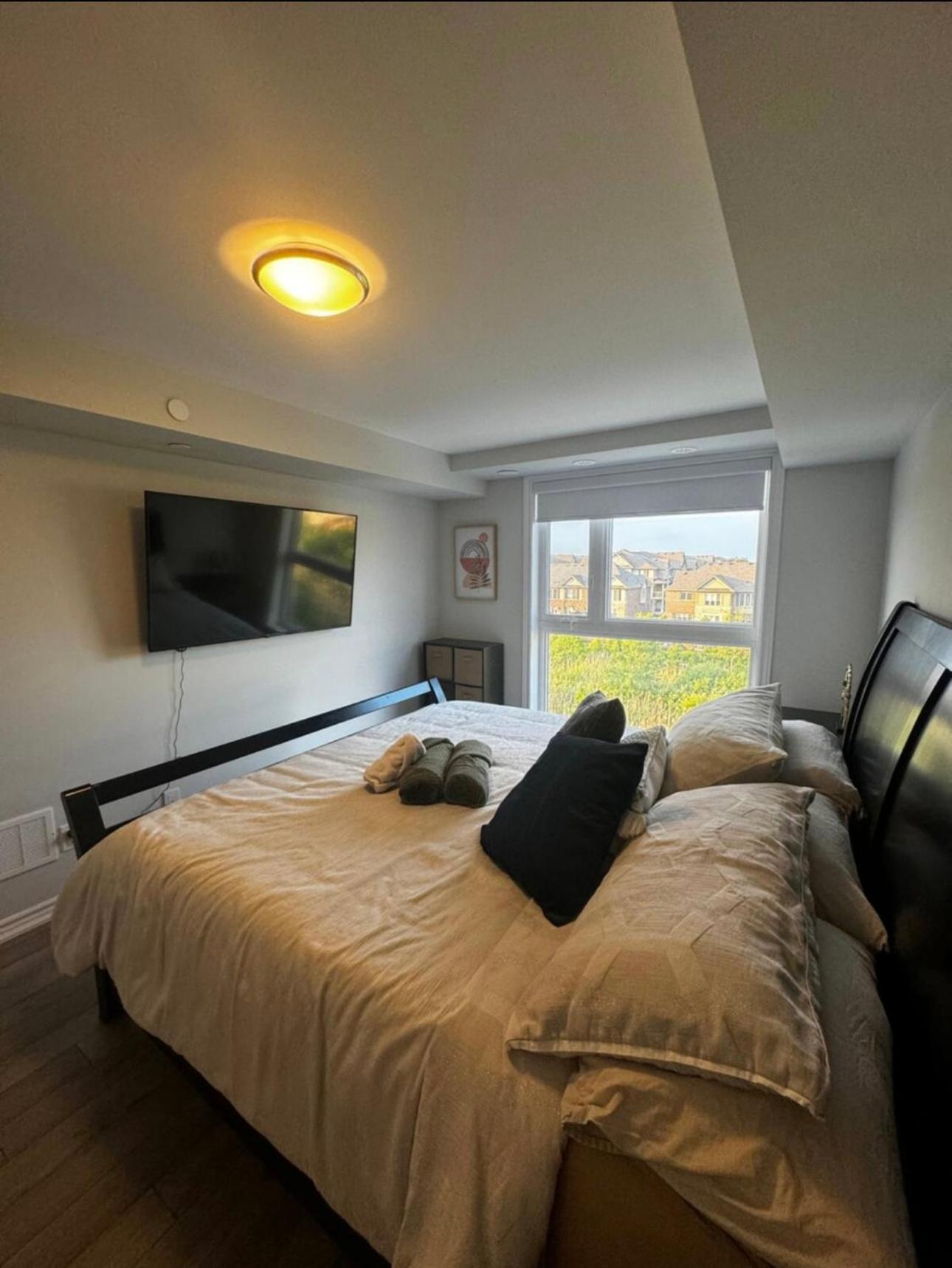 Oakville Townhouse Amazing Rooftop