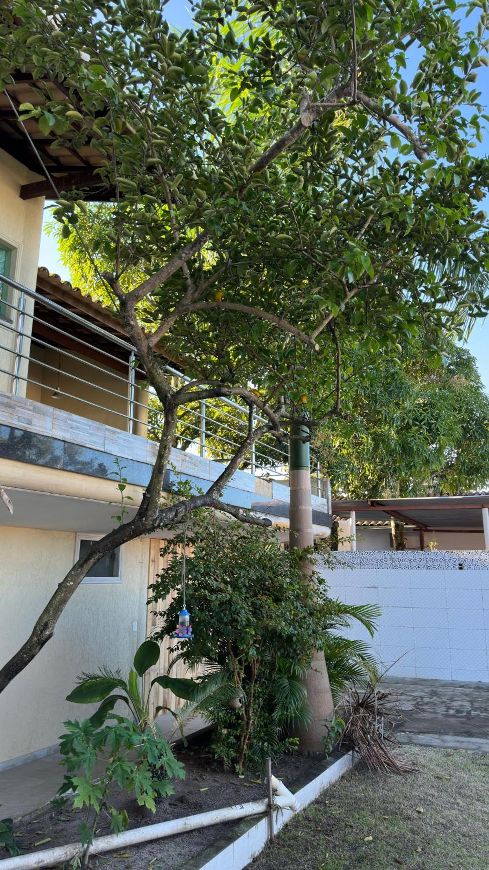 Casa em Porto - Casa Beija Flor