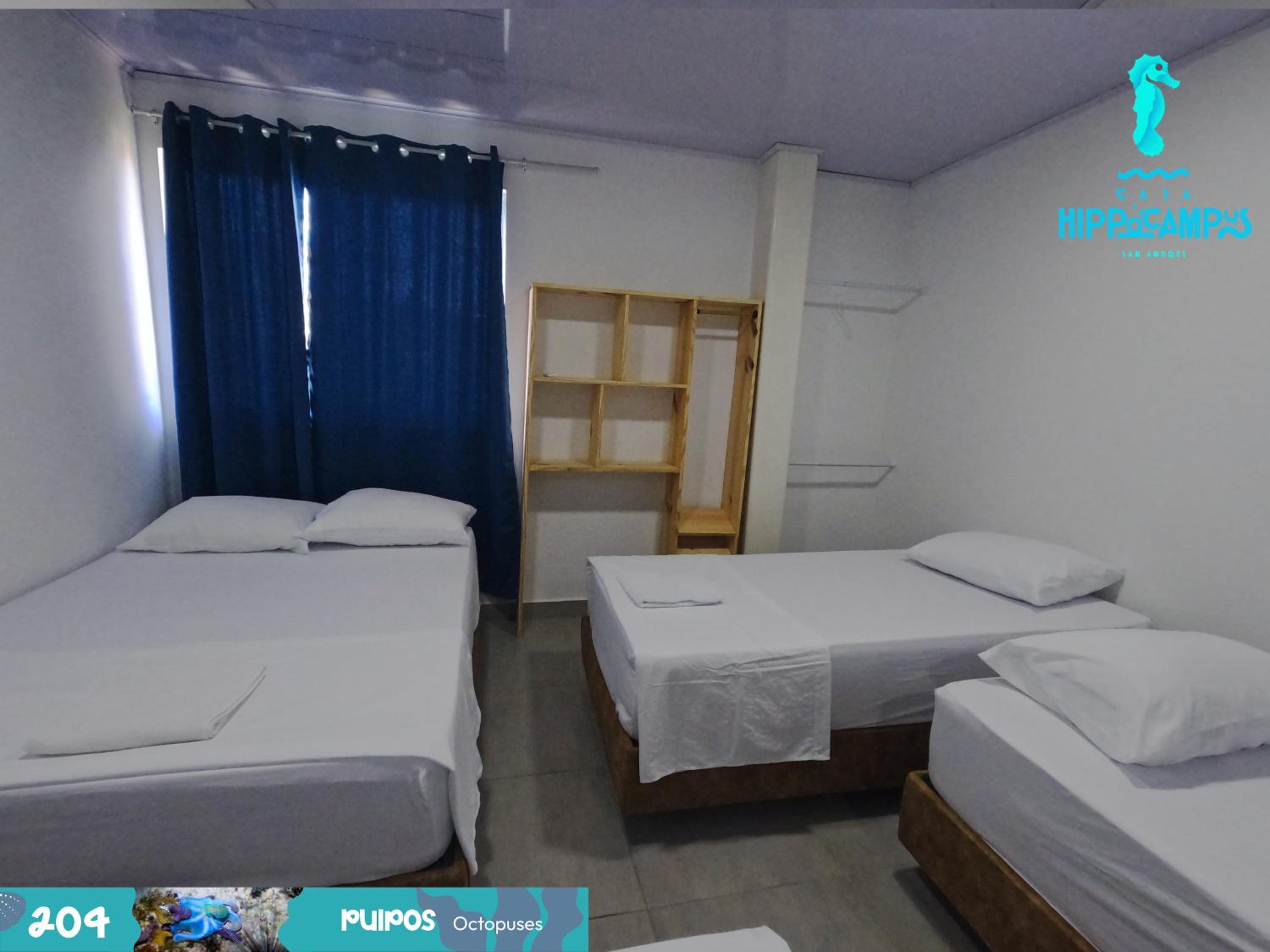 Sukha Hippocampus San Andrés Isla