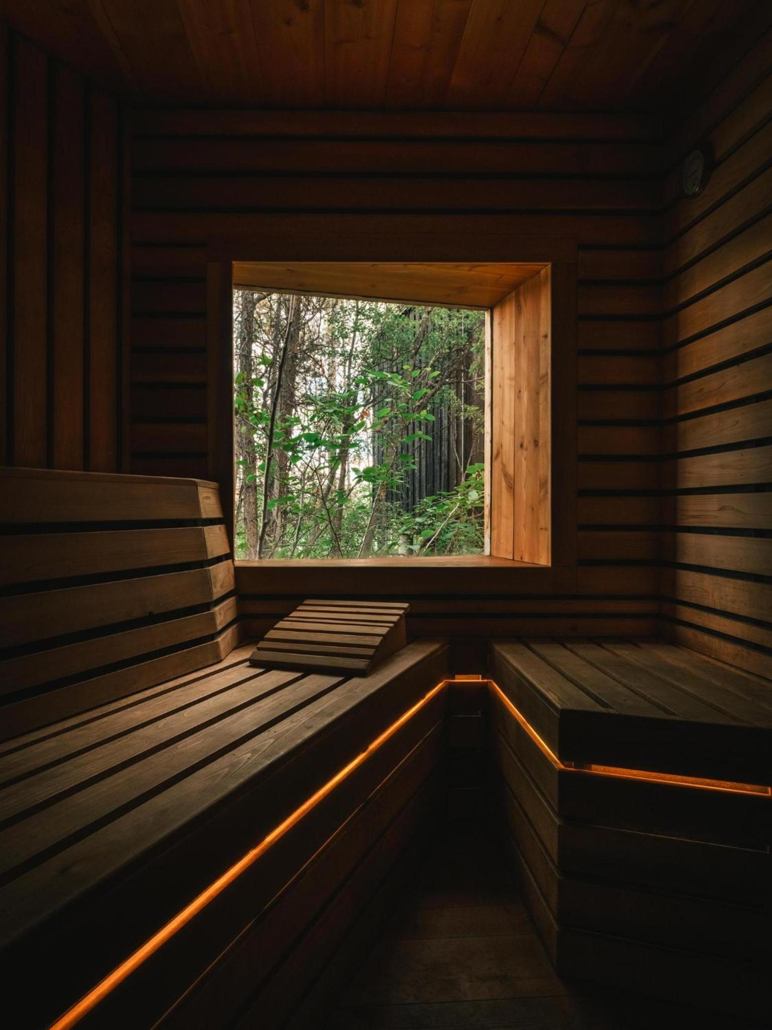 Black Spruce - Orange Door