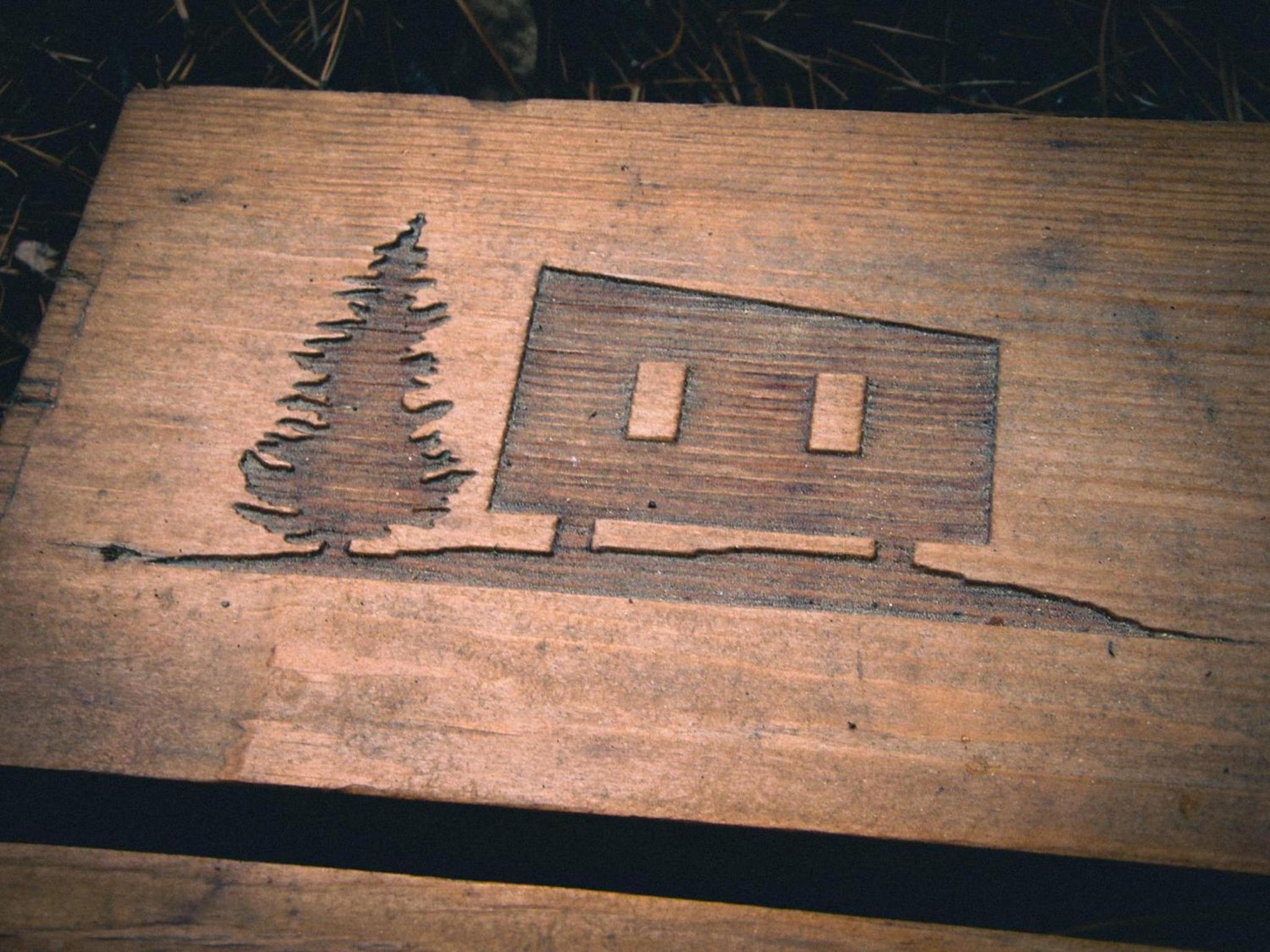 Black Spruce - Orange Door