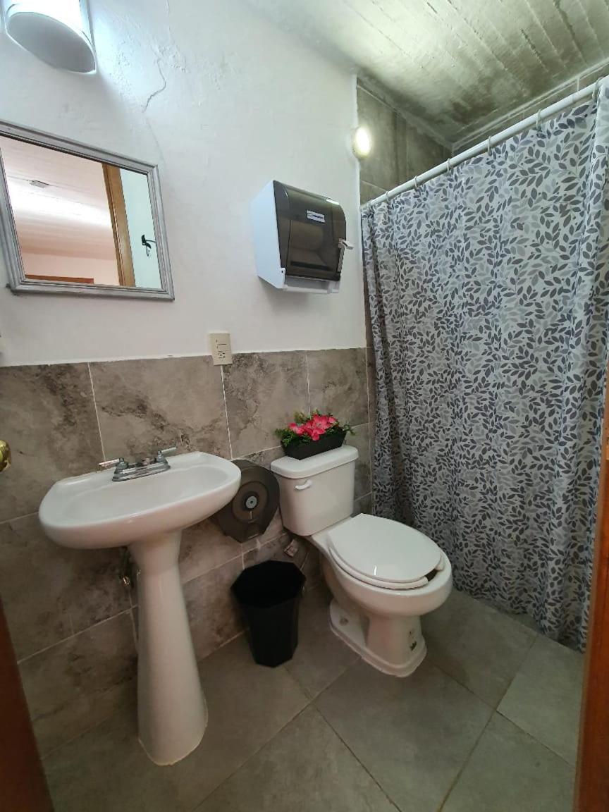 Photo 29
