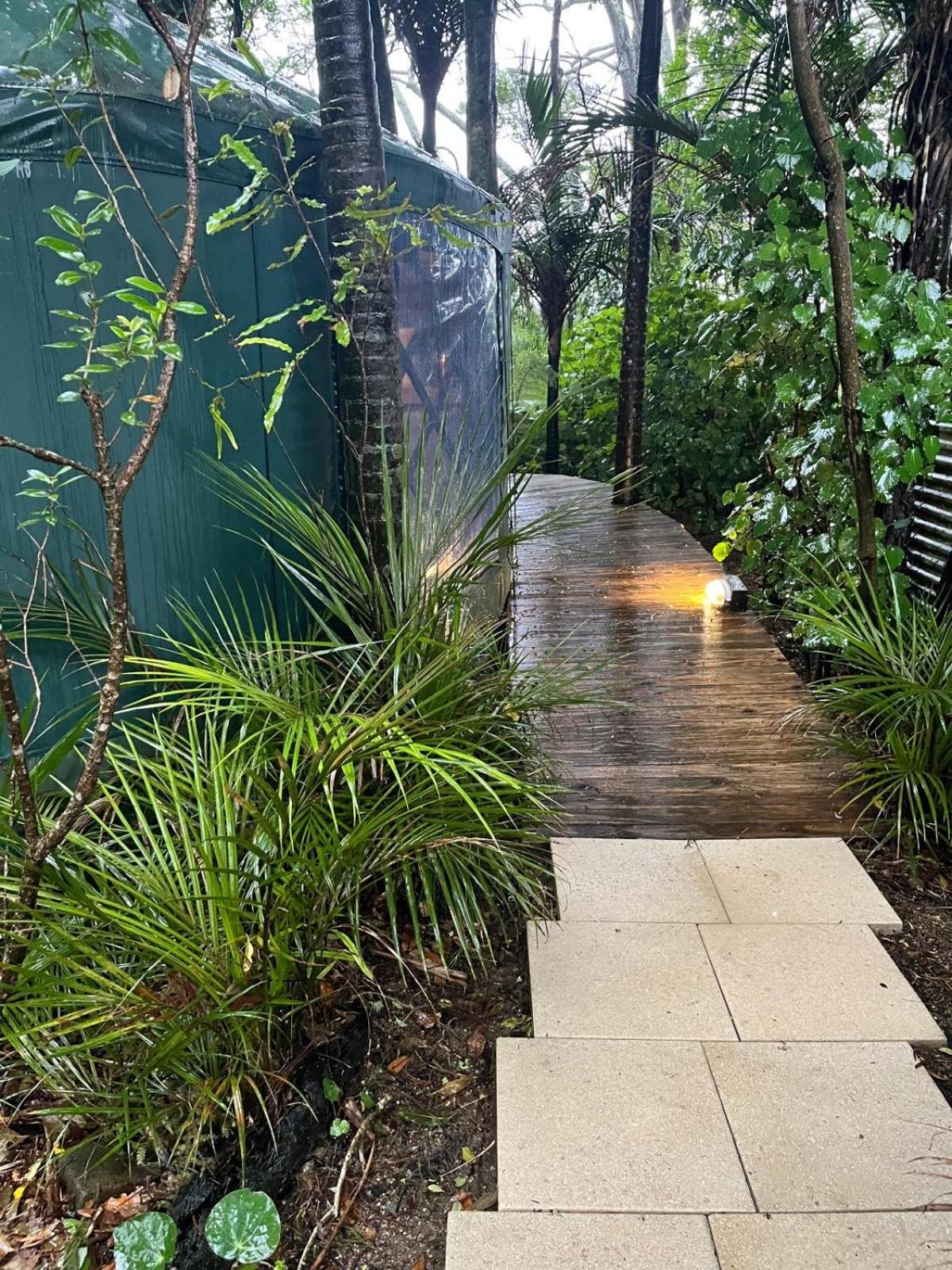 Nikau Sanctuary