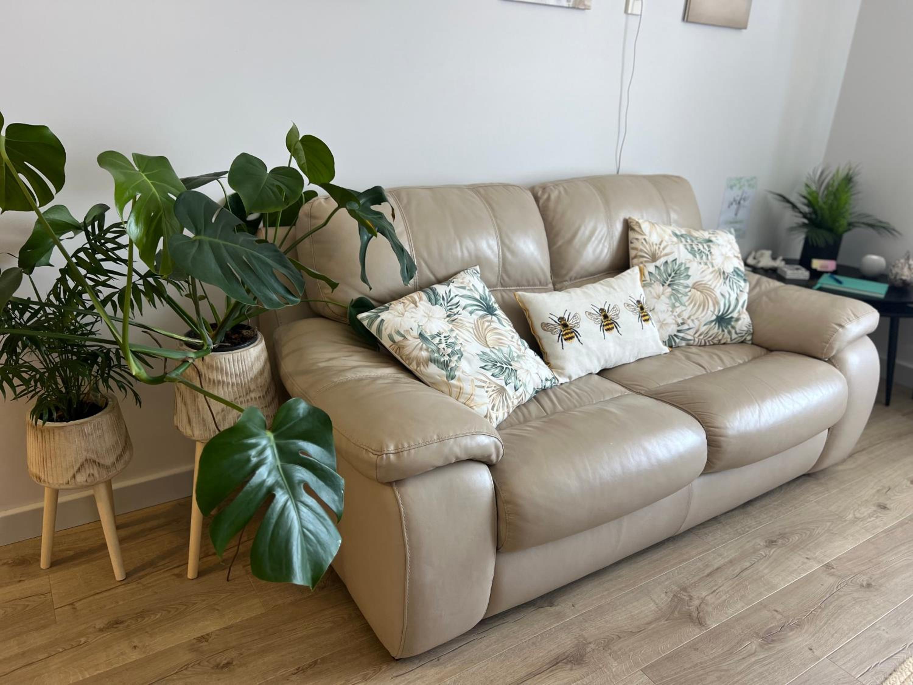 Sussex Gem - Cozy apartment in the heart of Sussex