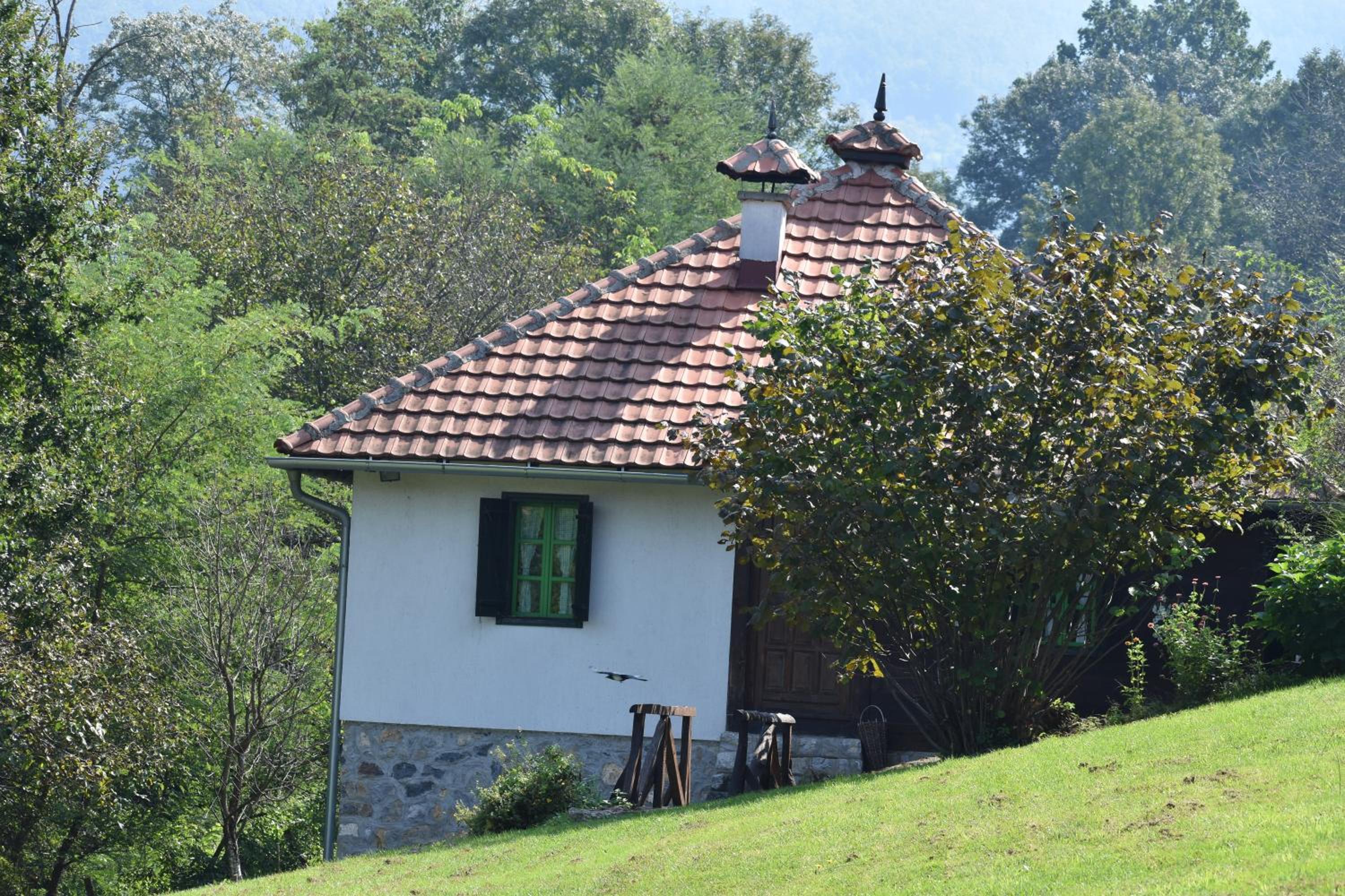 Terzica avlija