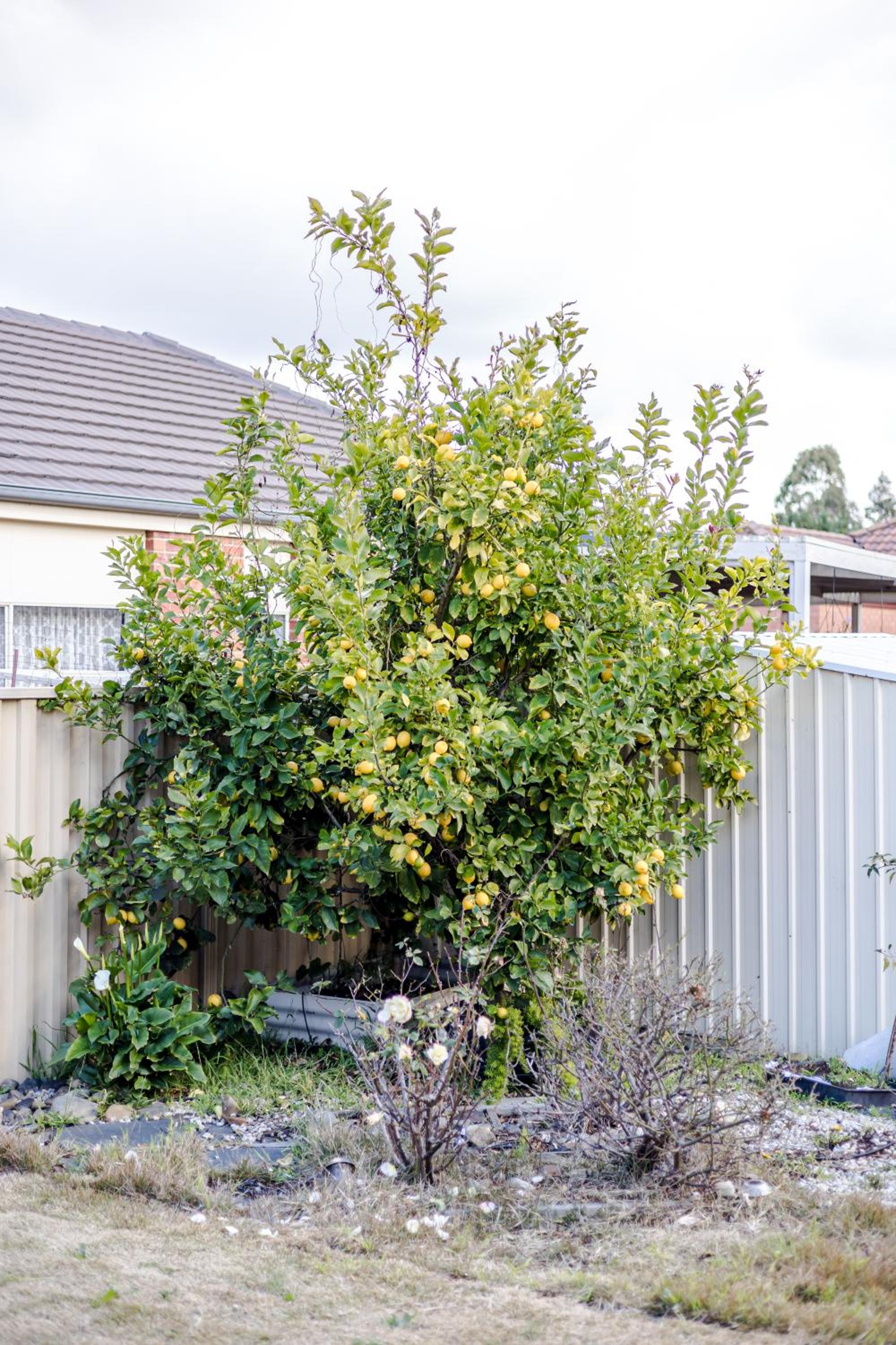 StayAU Family Home Comfort in Caroline Springs
