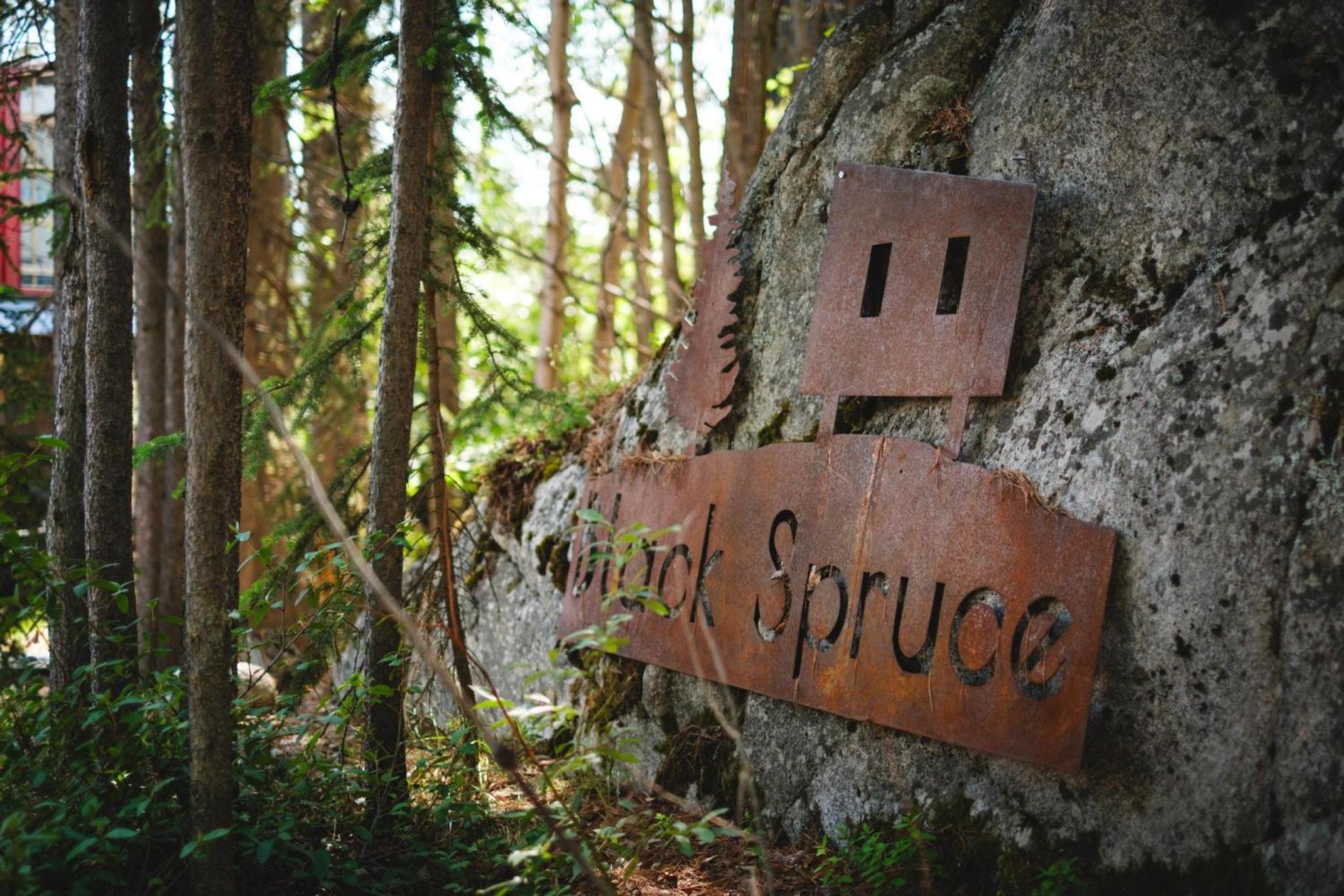 Black Spruce - Yellow Door