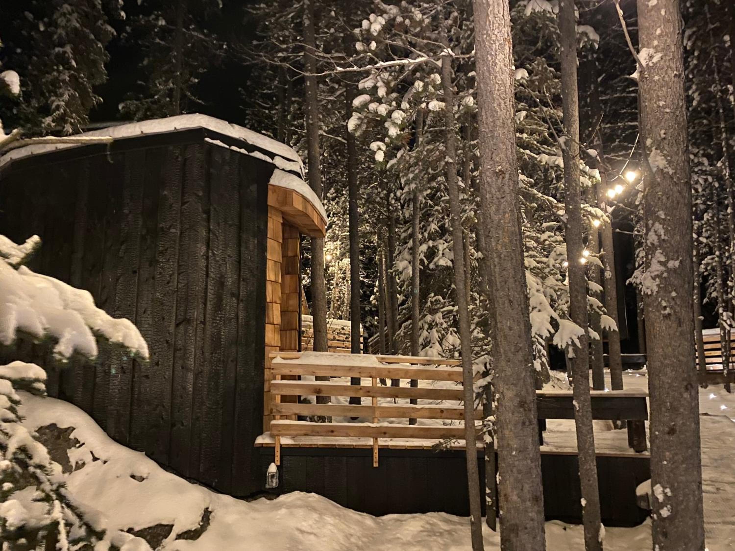 Black Spruce - Yellow Door