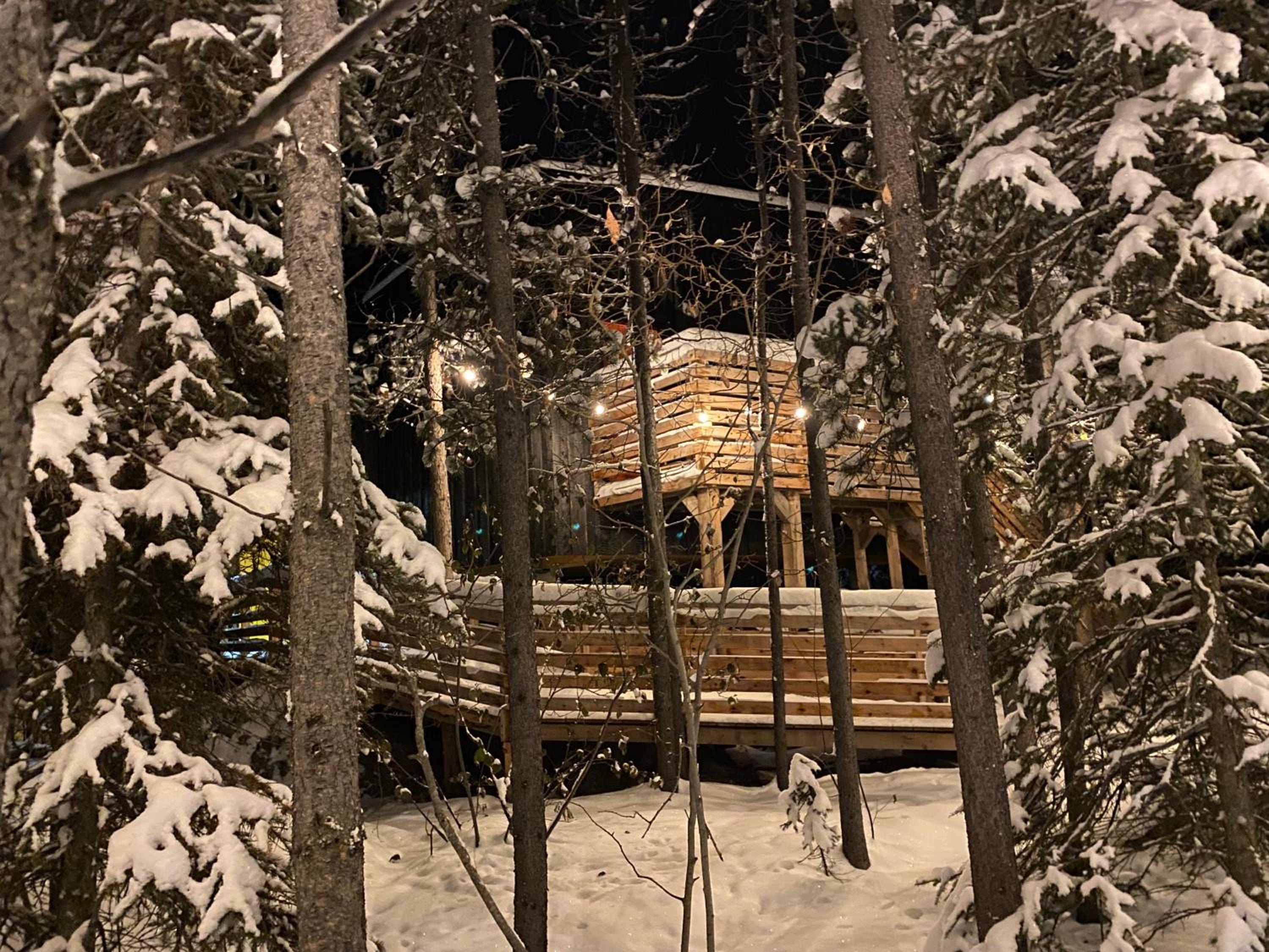 Black Spruce - Yellow Door