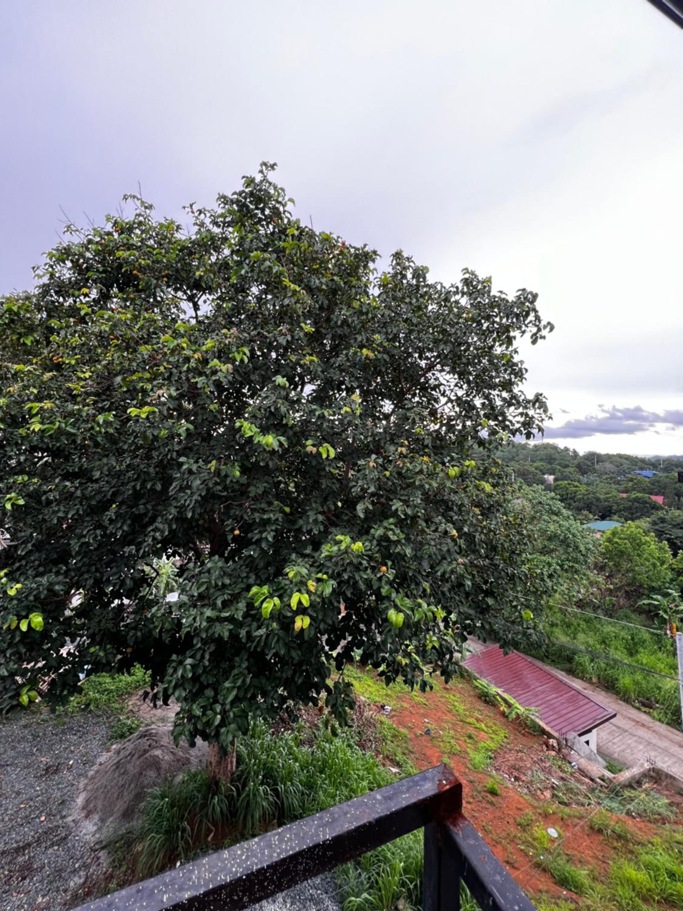 Ataraxia Guest House