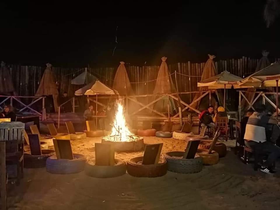 Iguana Camping