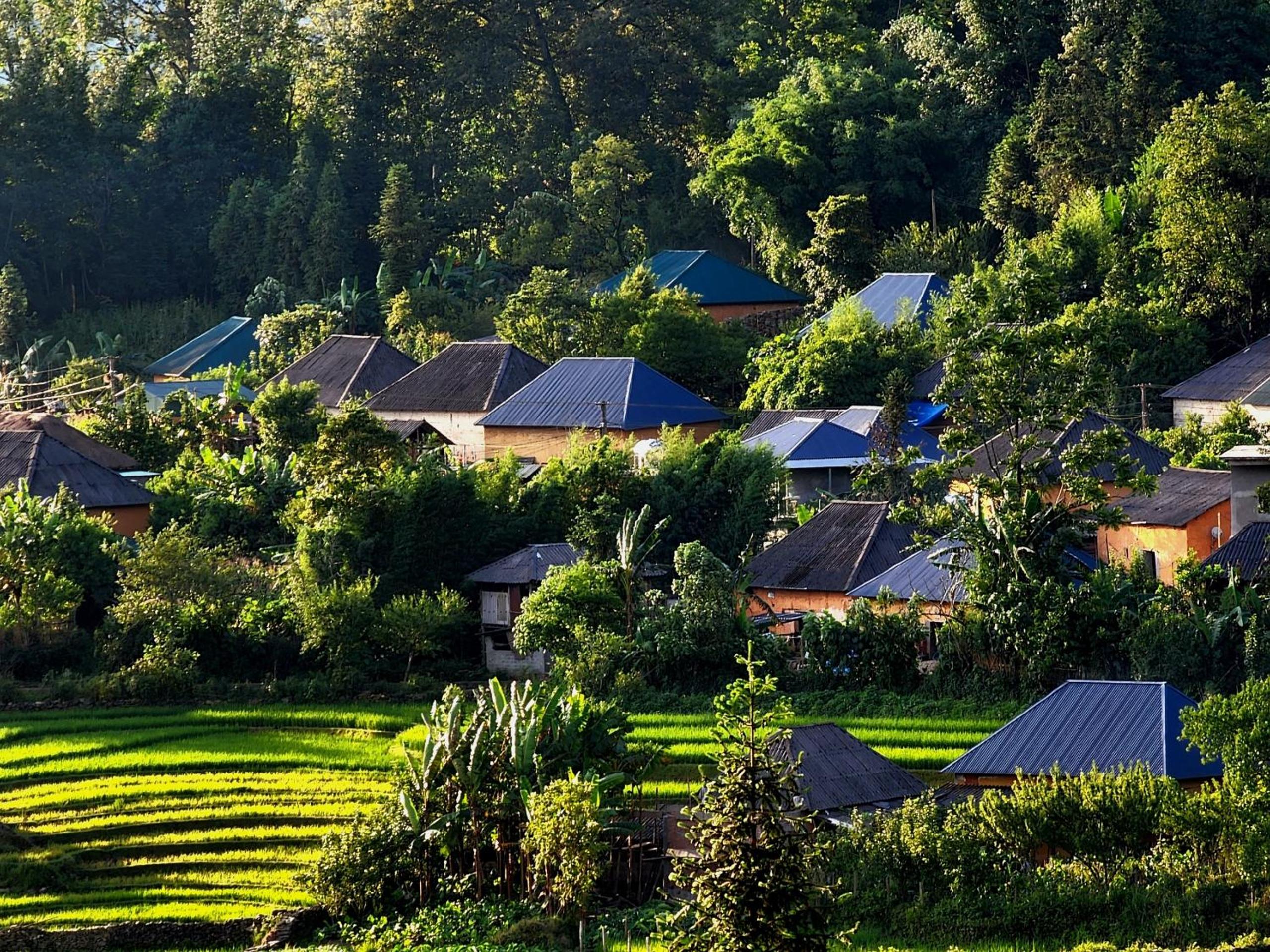 Homestay Y Ty cloud