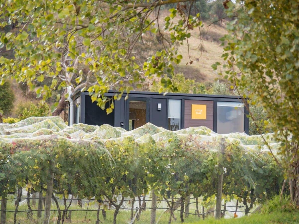 Rae at Lake George Winery by Tiny Away